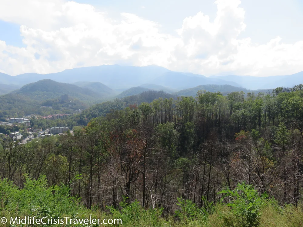 Great Smoky Mountains-137.jpg