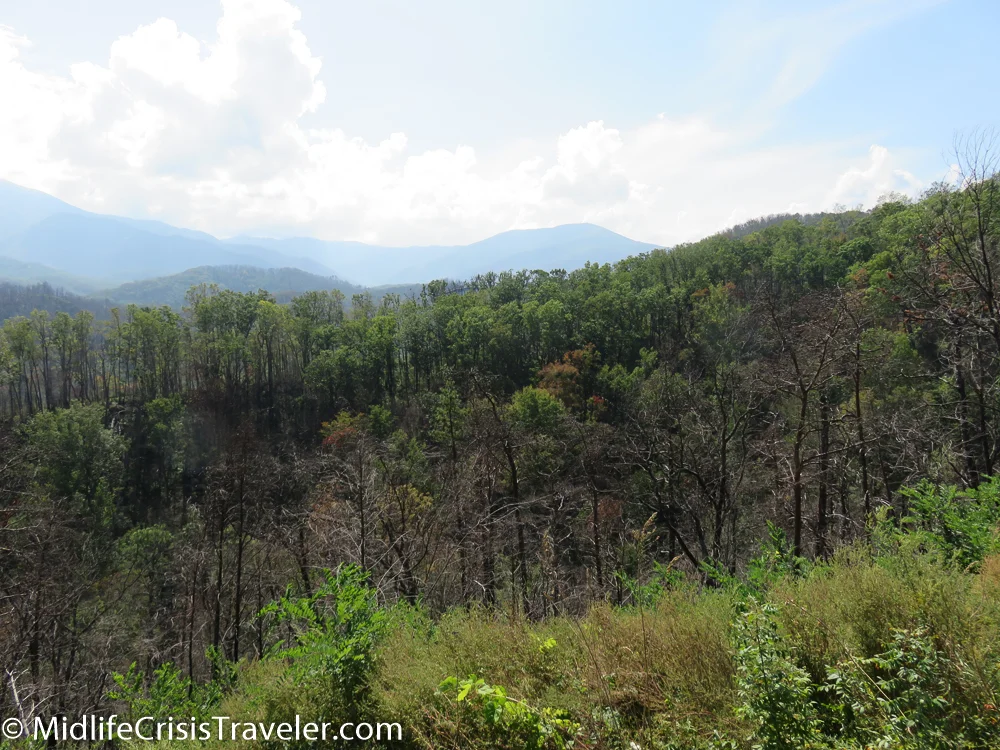 Great Smoky Mountains-133.jpg