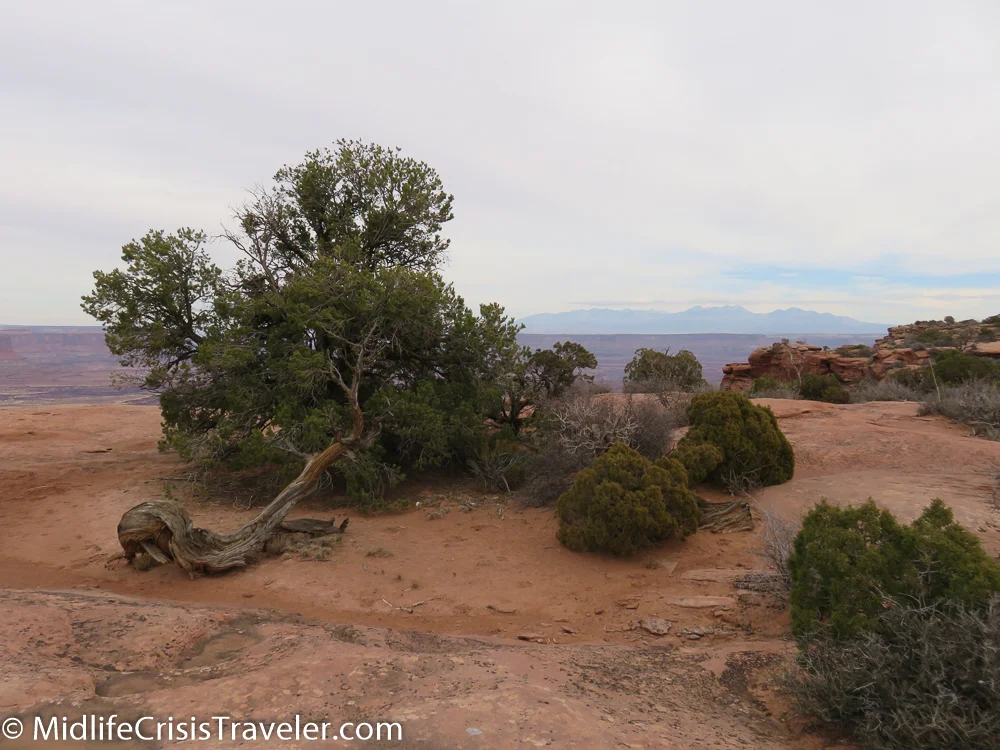 Canyonlands North-10.jpg