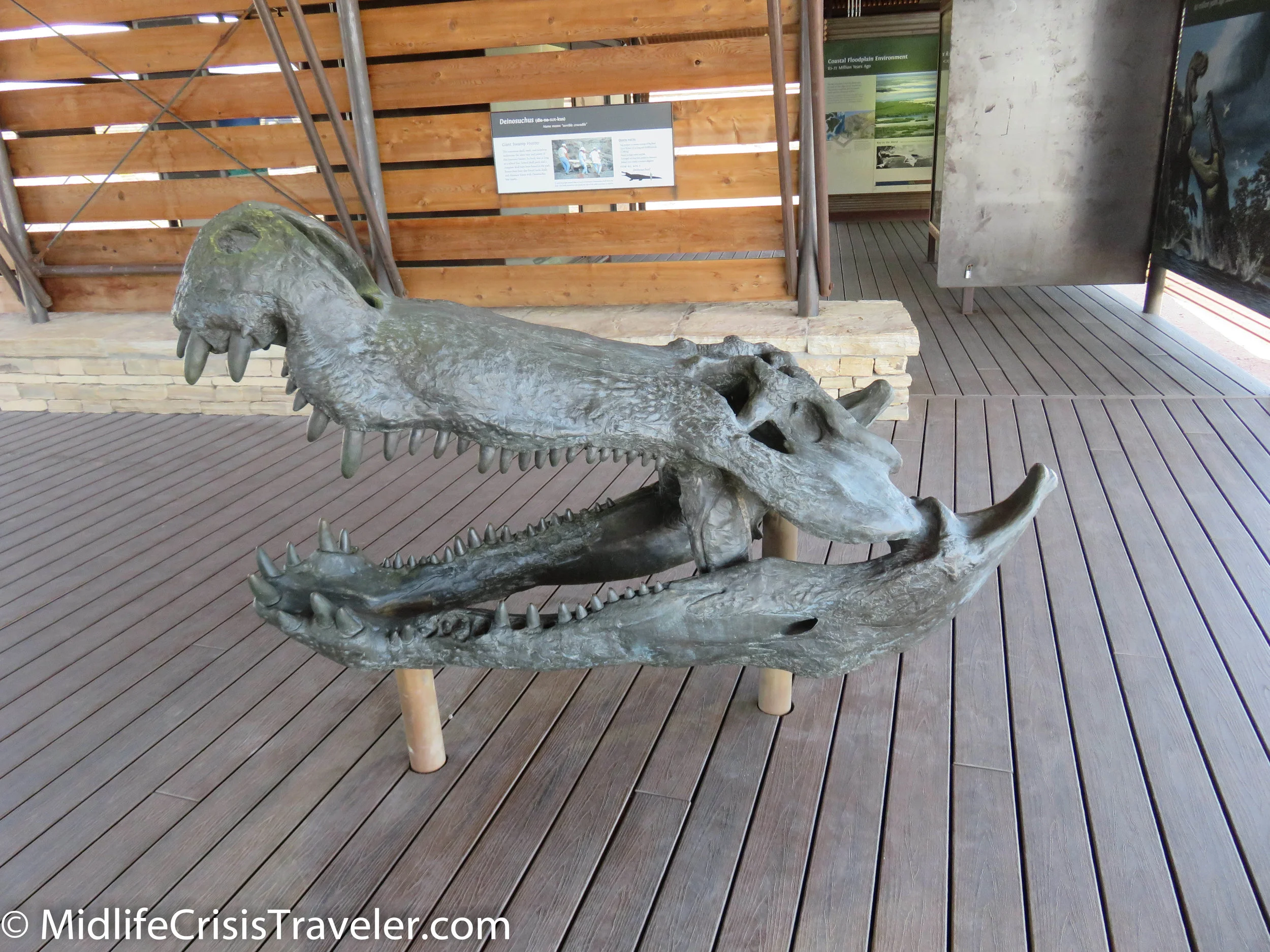 Big Bend National Park: Big Fossils and a Lil Hobo