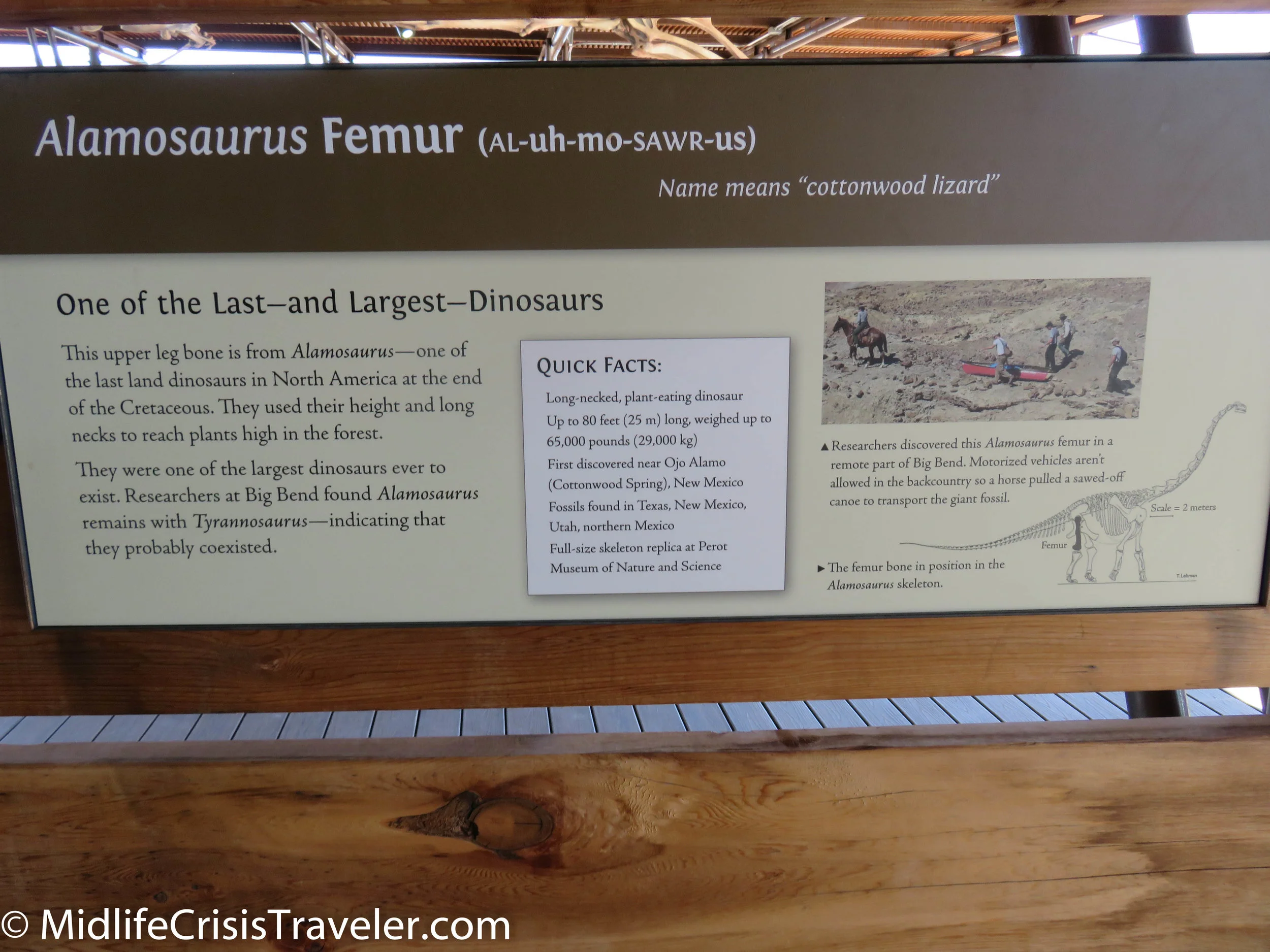 Big Bend Fossils-20.jpg