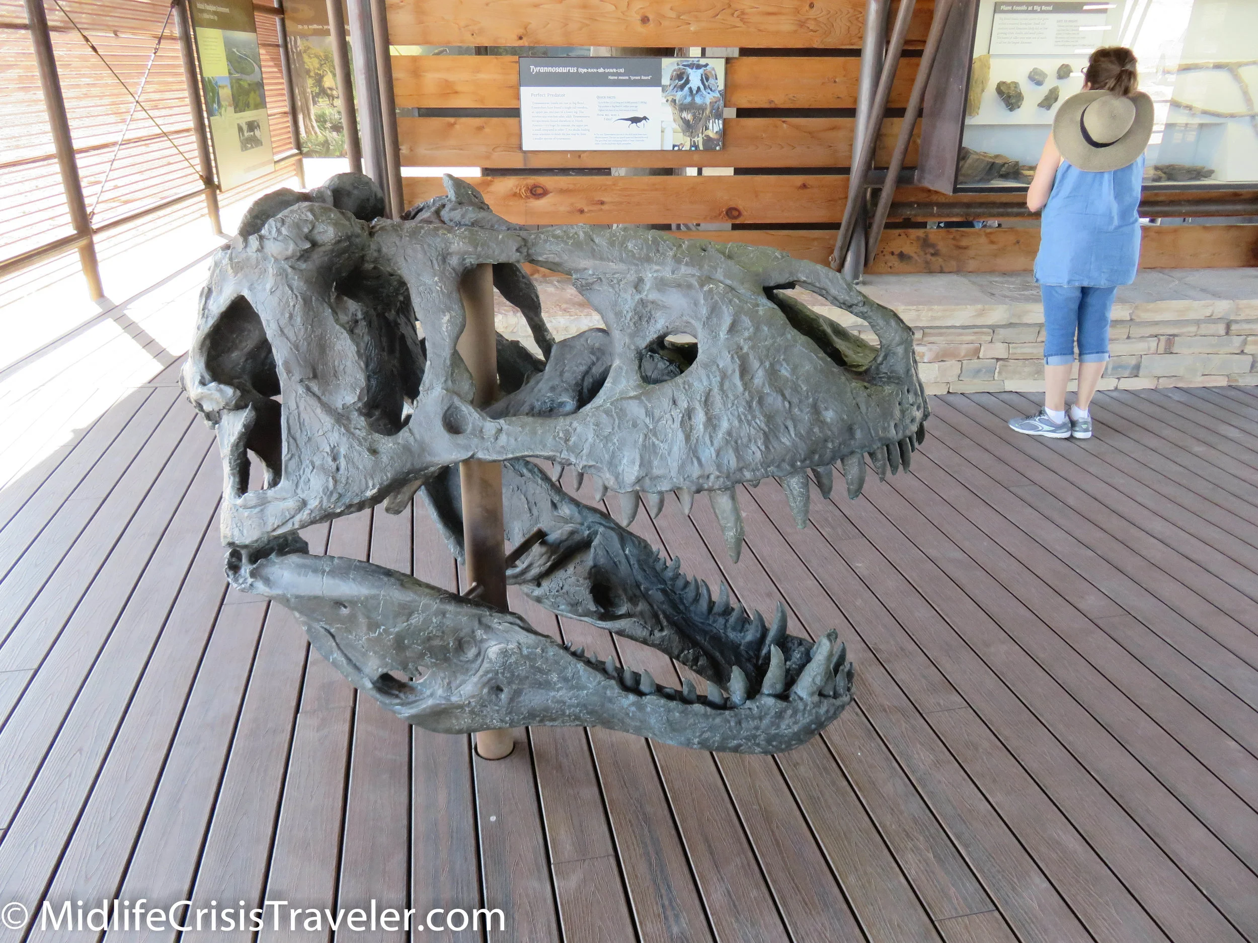 Big Bend Fossils-16.jpg