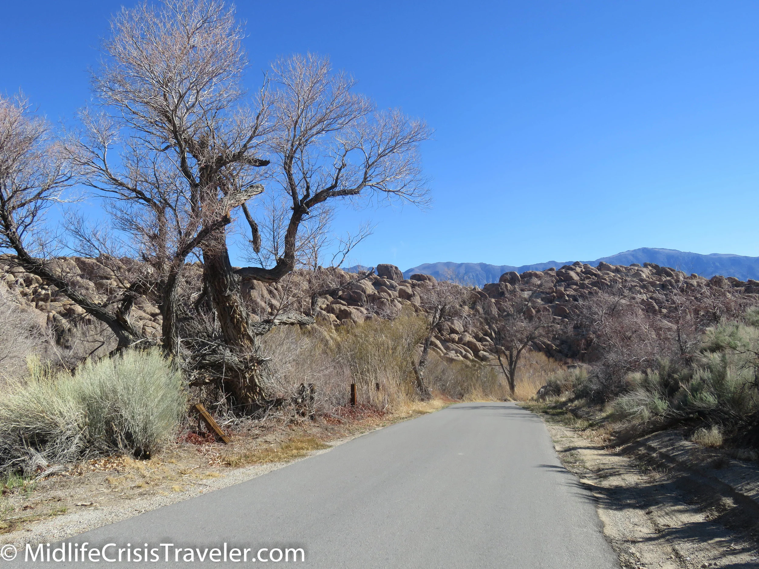 Lone Pine-67.jpg