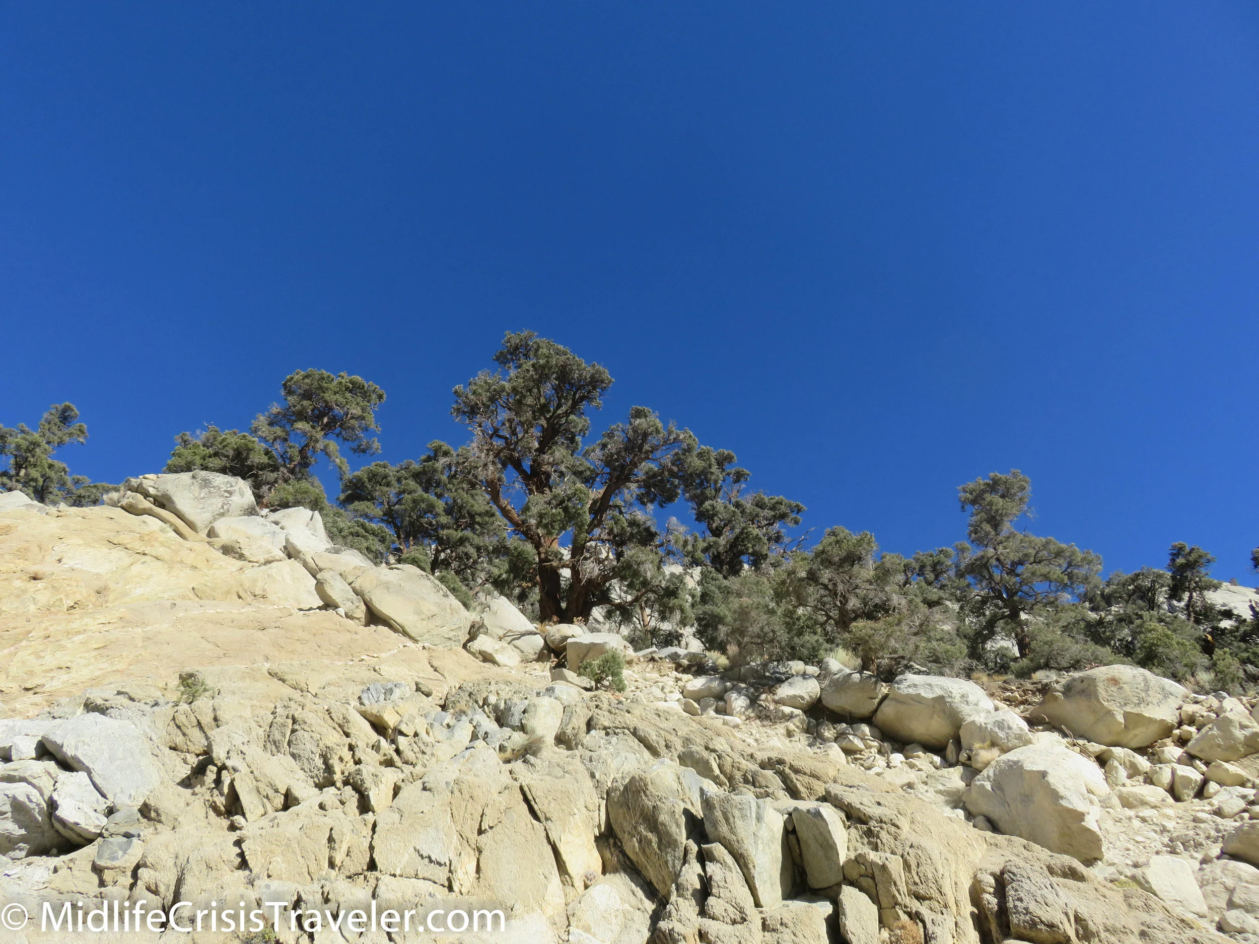 Lone Pine-40.jpg