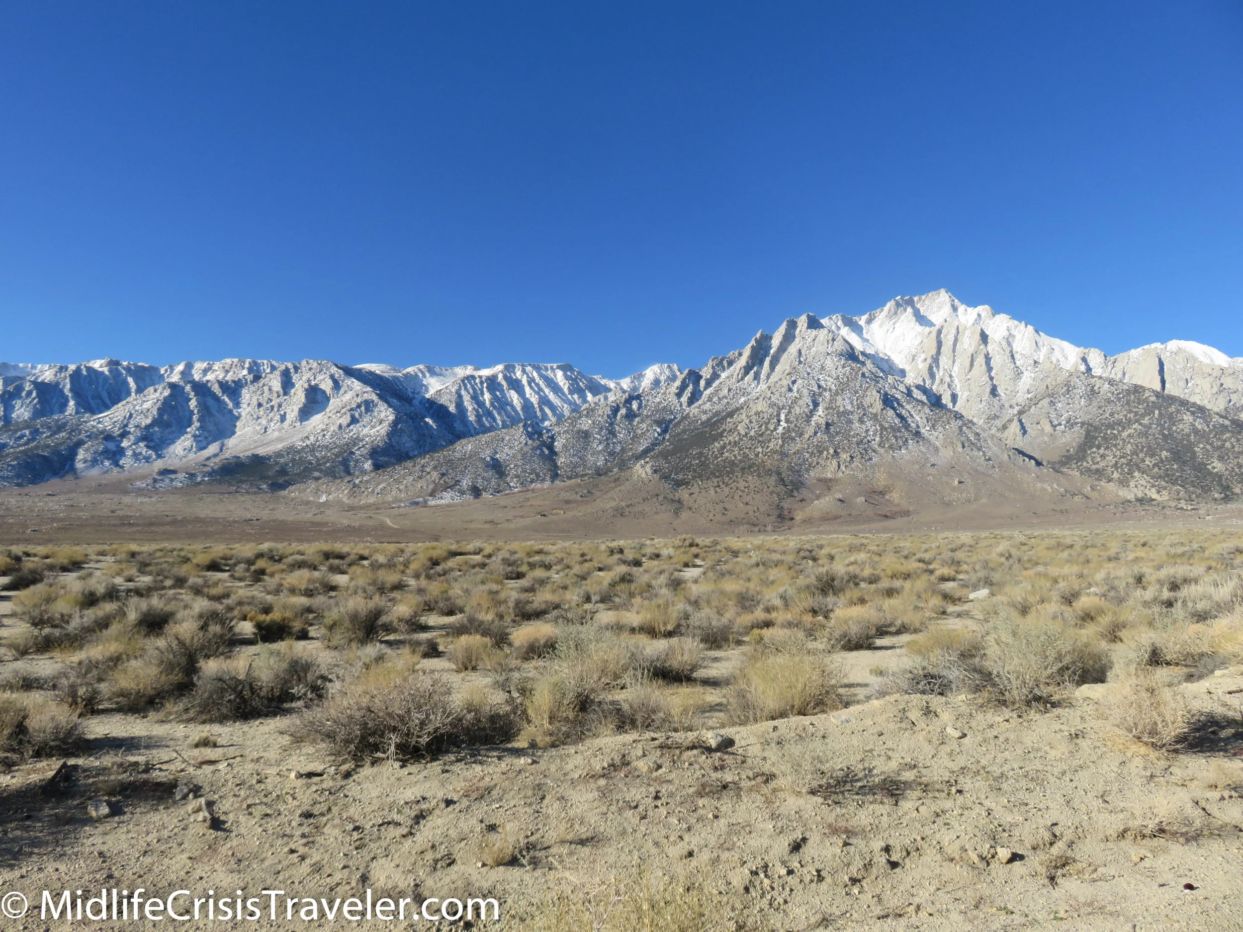 Lone Pine-13.jpg