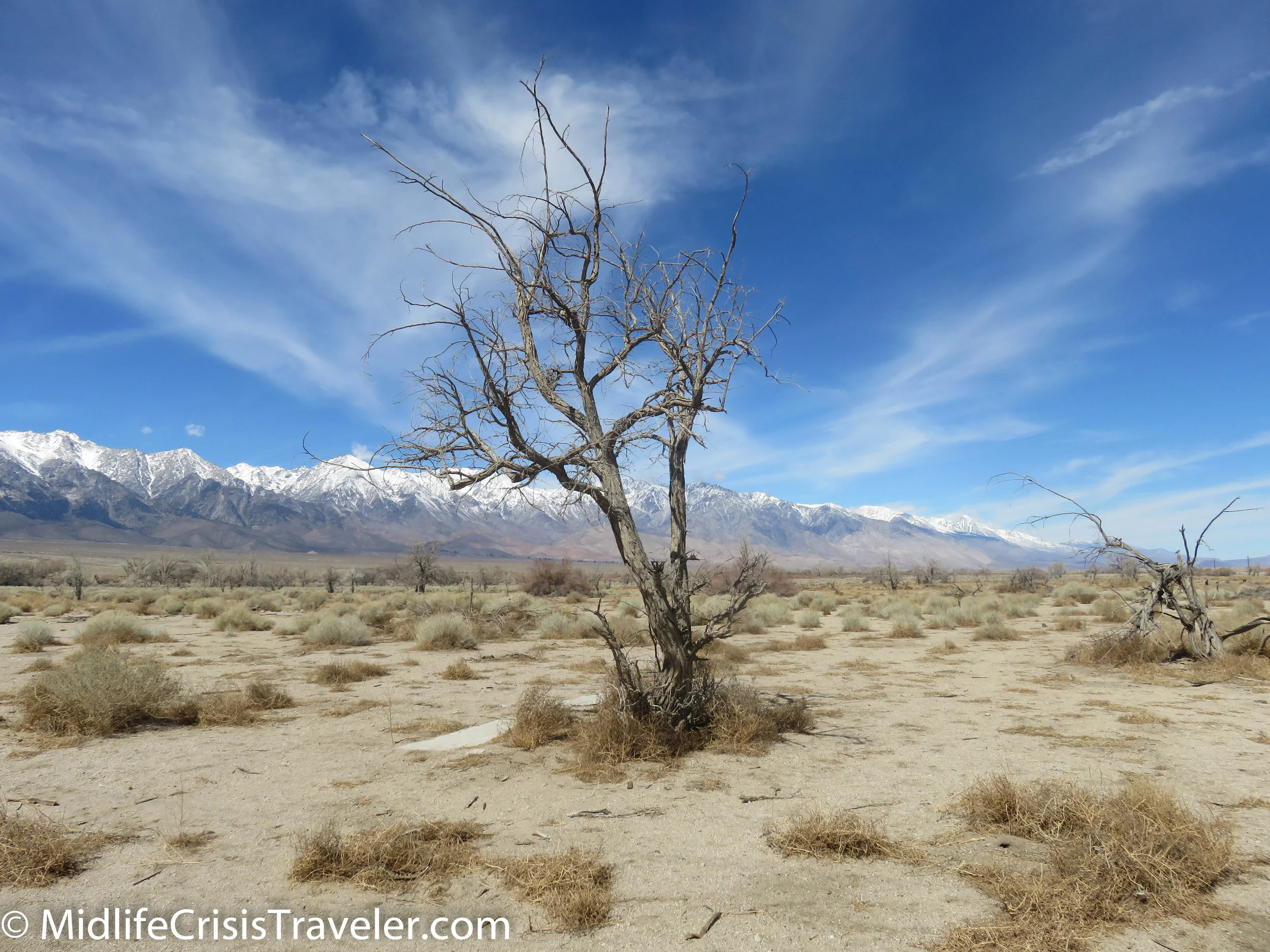 Manzanar-126.jpg
