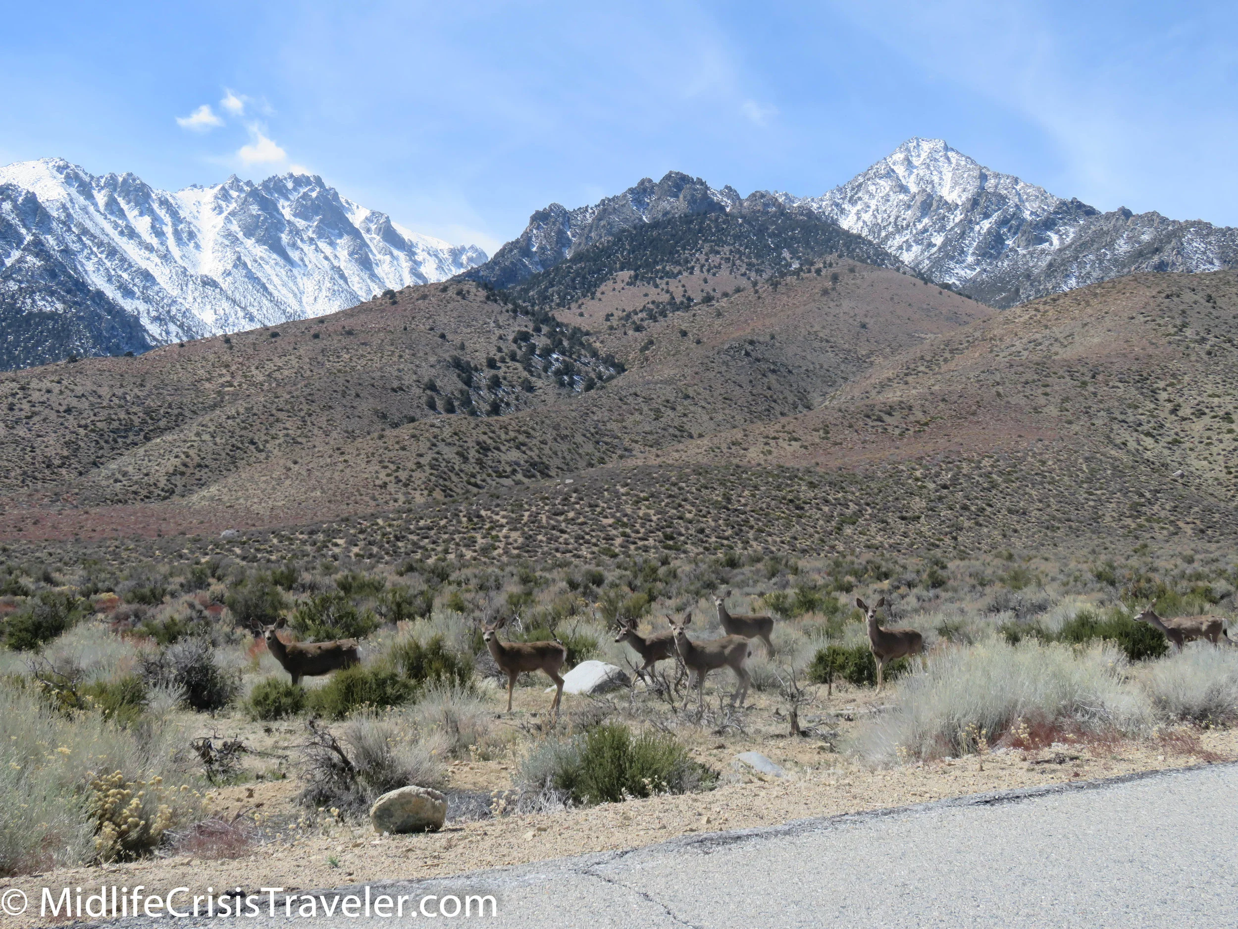 Route 395: Bishop, CA