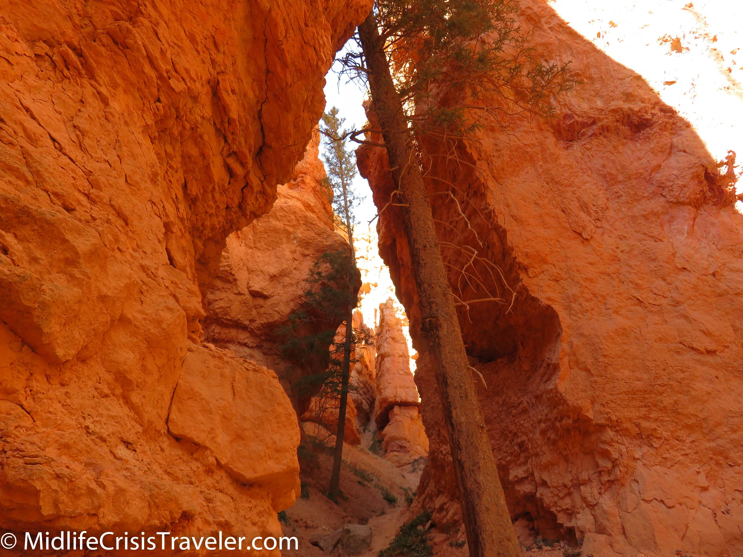 Bryce Canyon NP Navajo Loop-99.jpg