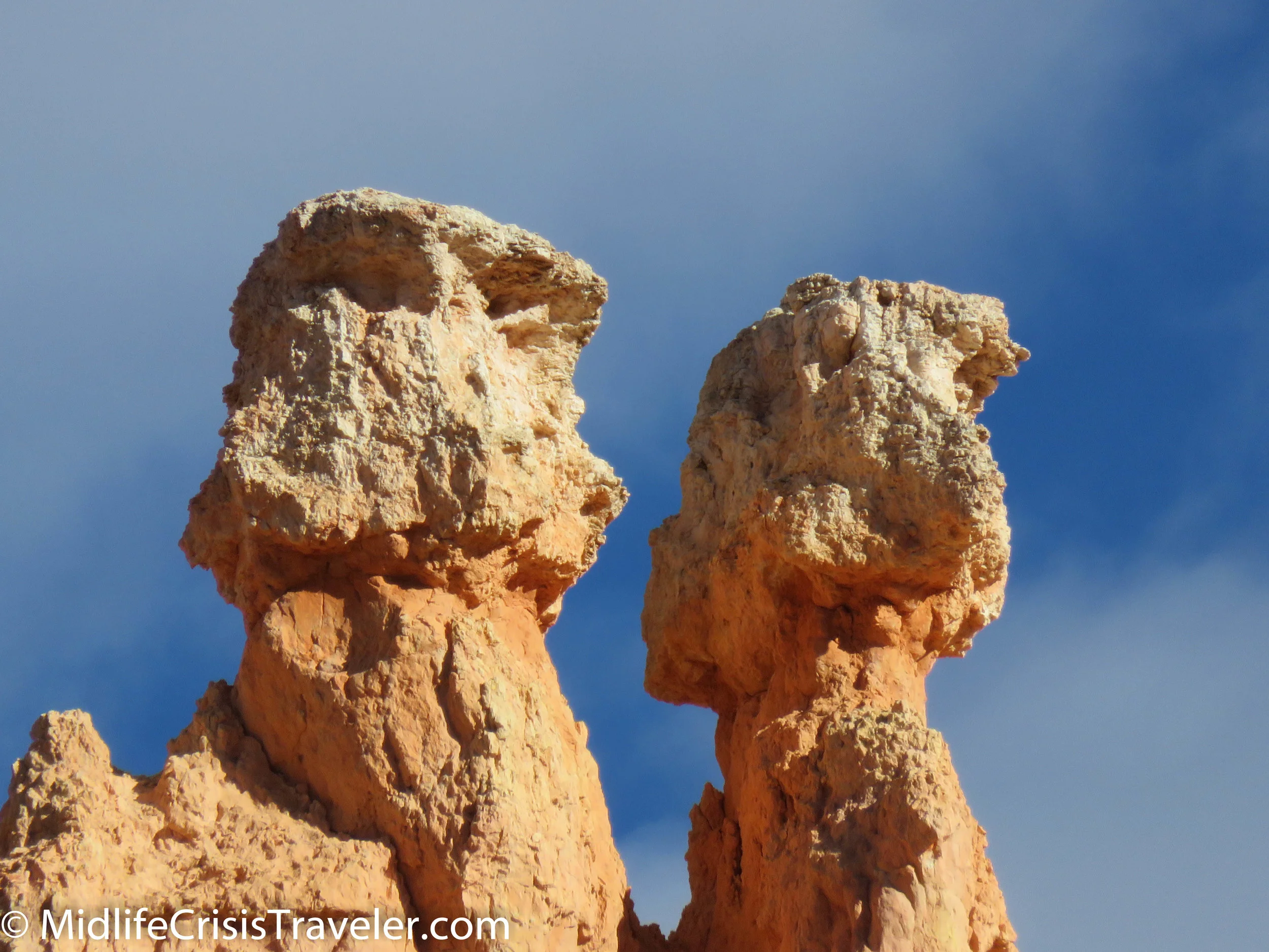 Bryce Canyon NP Navajo Loop-82.jpg
