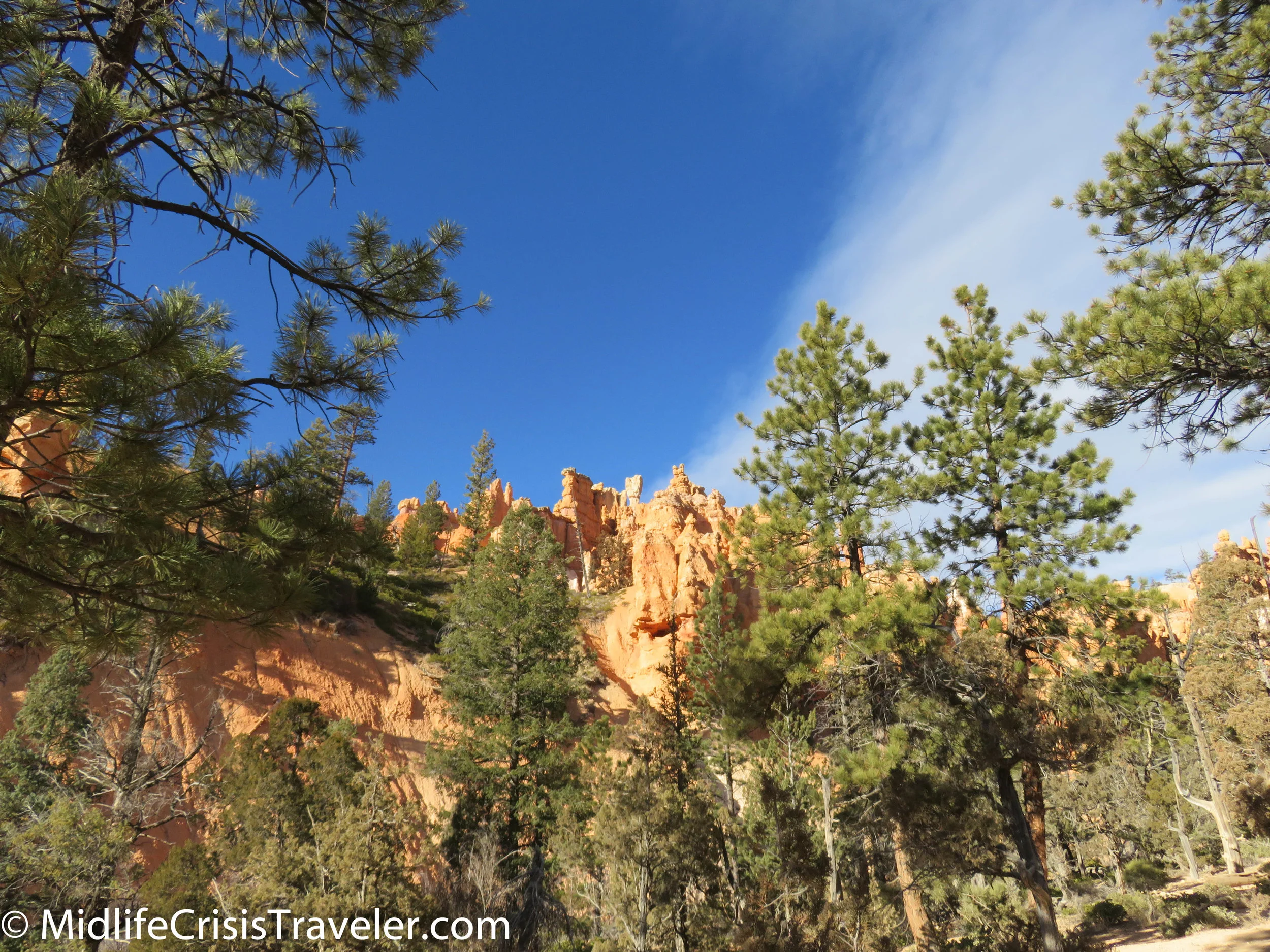 Bryce Canyon NP Navajo Loop-53.jpg