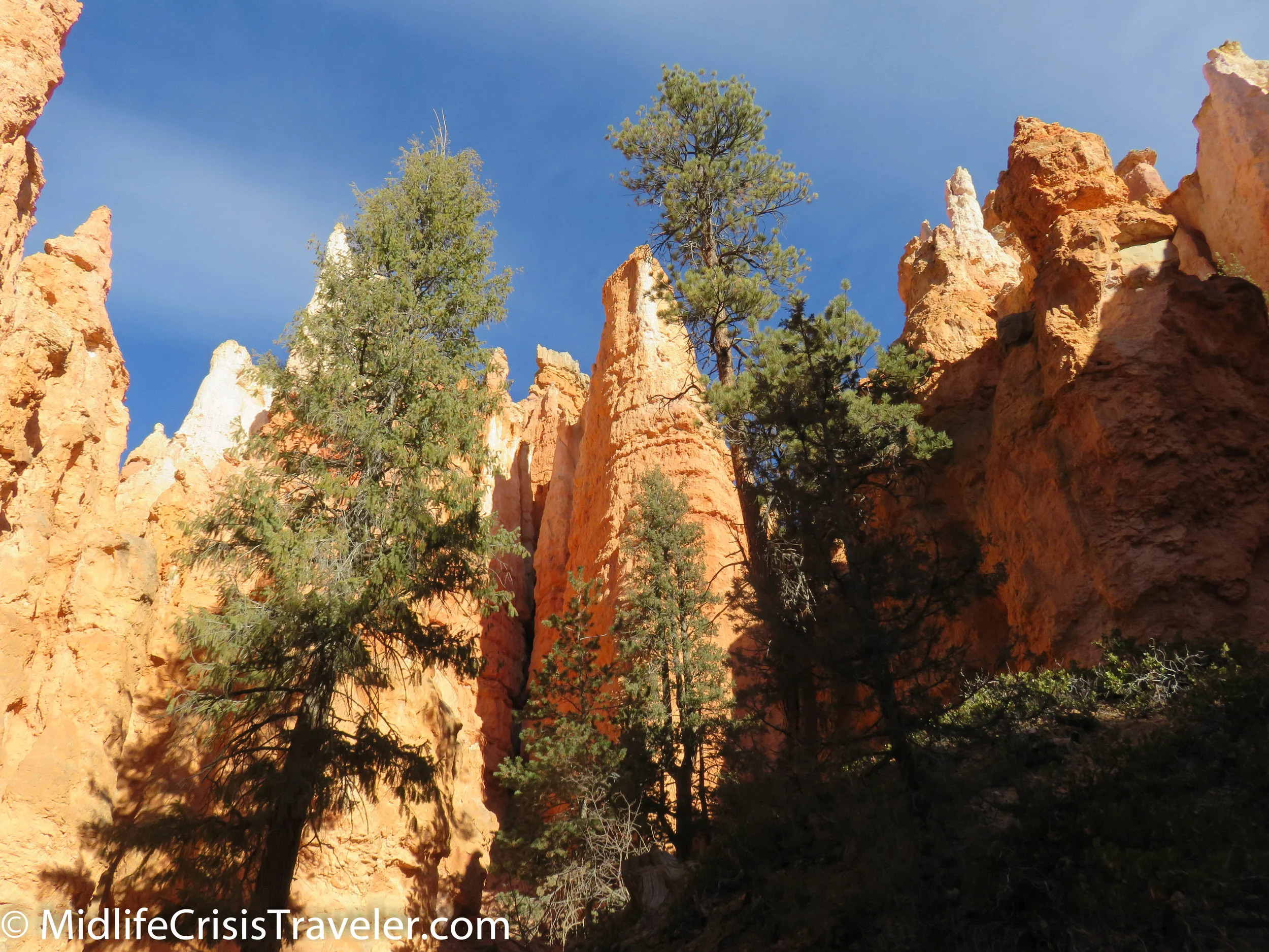 Bryce Canyon NP Navajo Loop-38.jpg