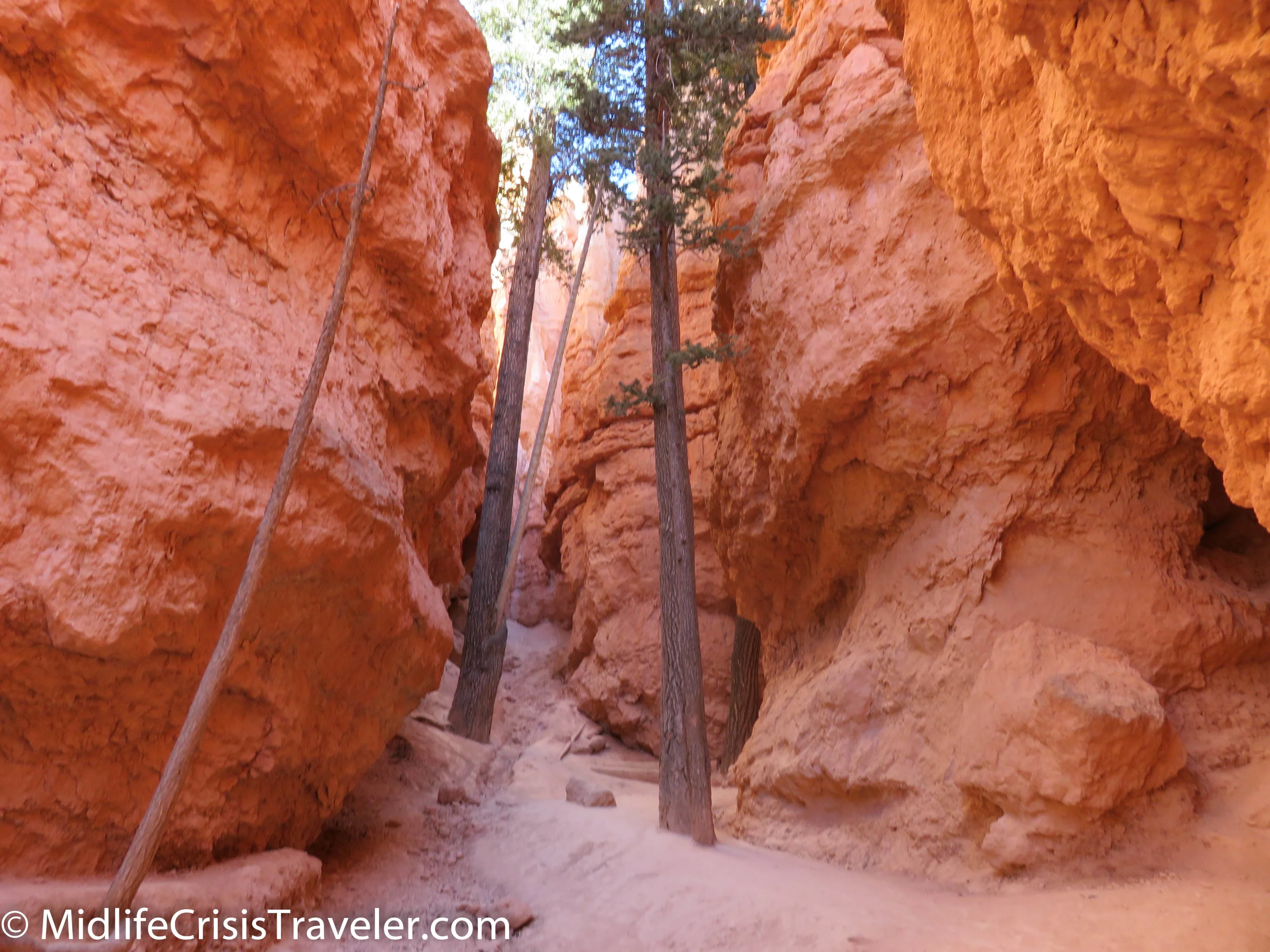 Bryce Canyon NP Navajo Loop-37.jpg