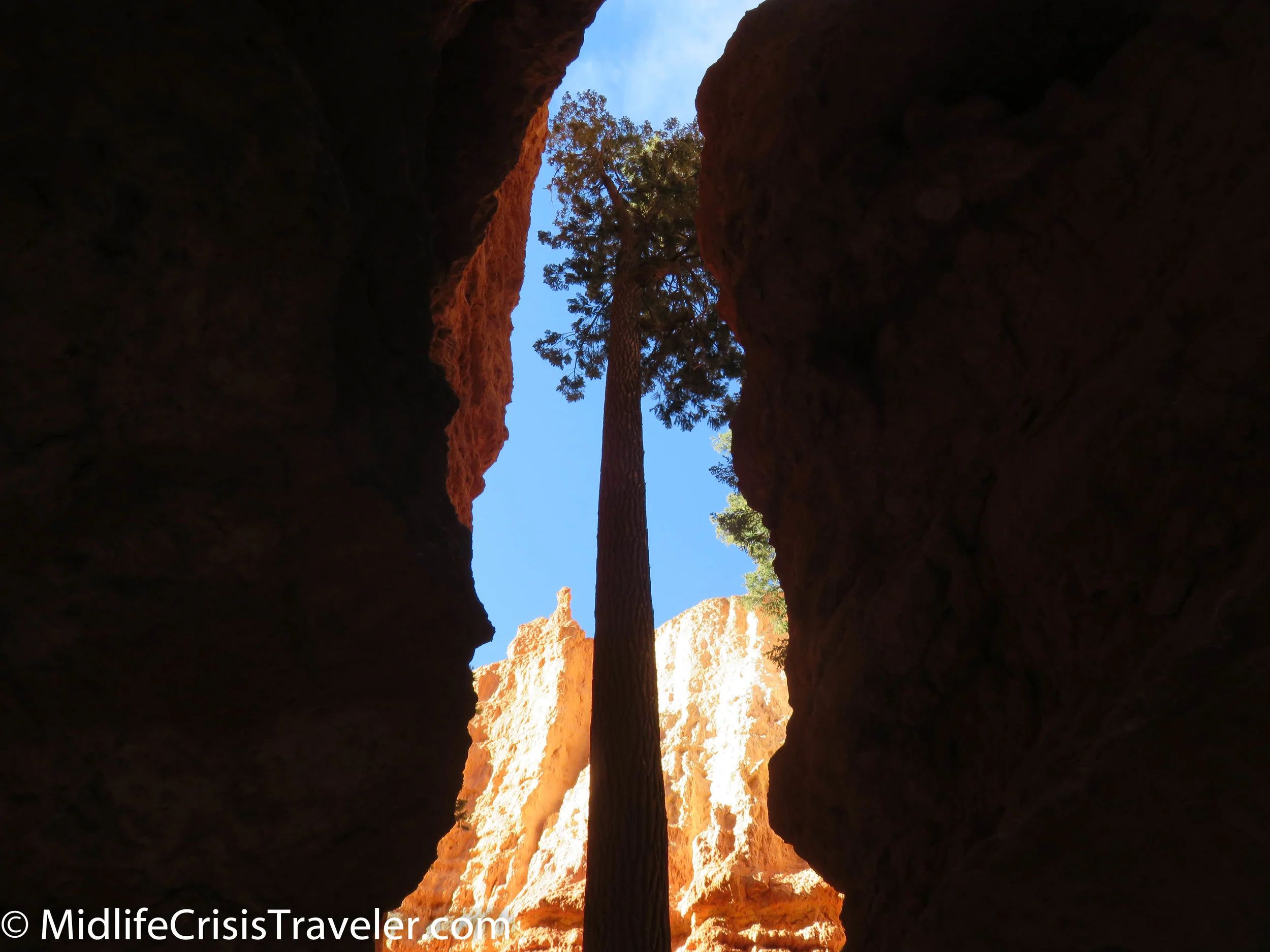 Bryce Canyon NP Navajo Loop-35.jpg