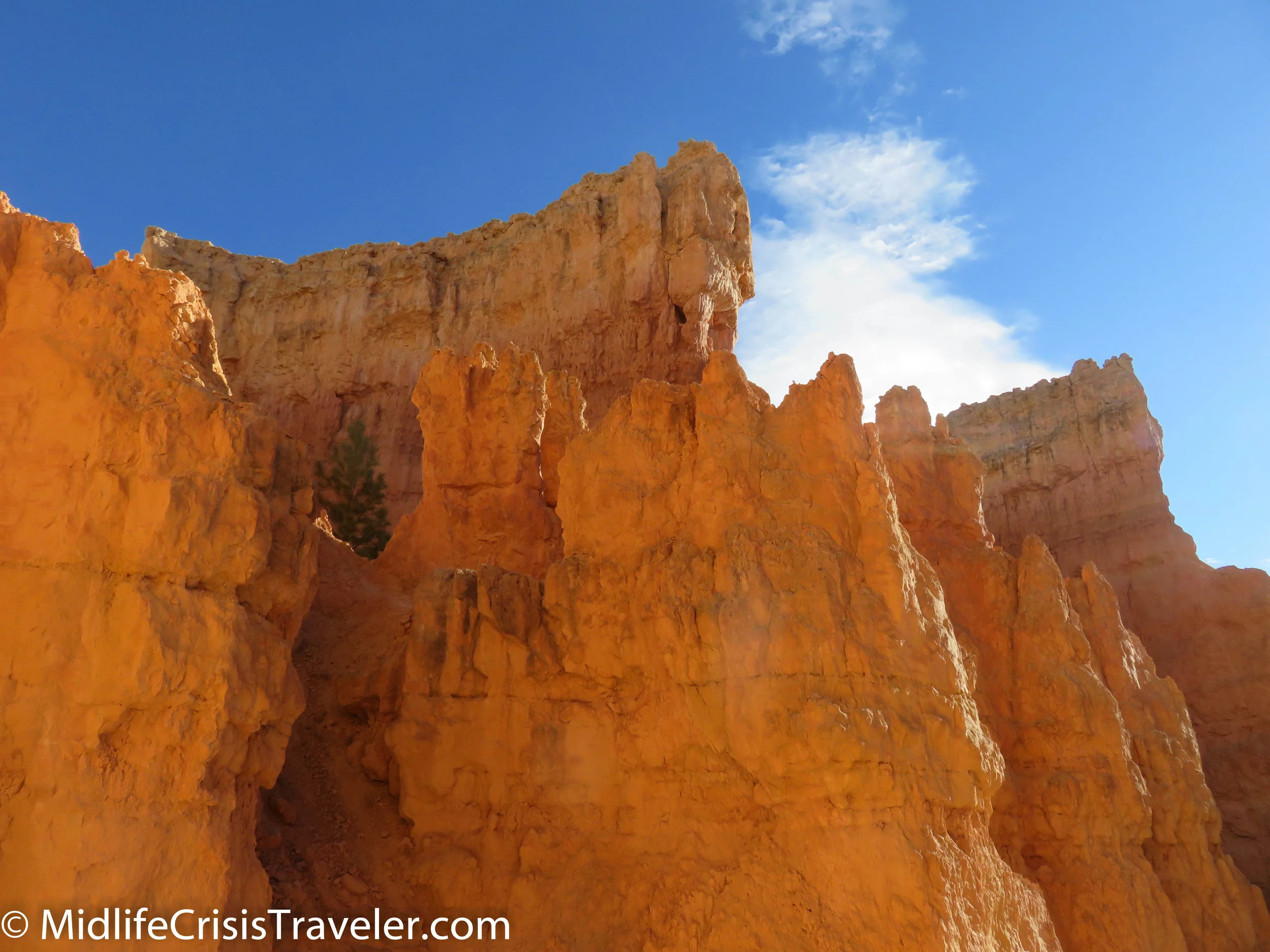 Bryce Canyon NP Navajo Loop-12.jpg