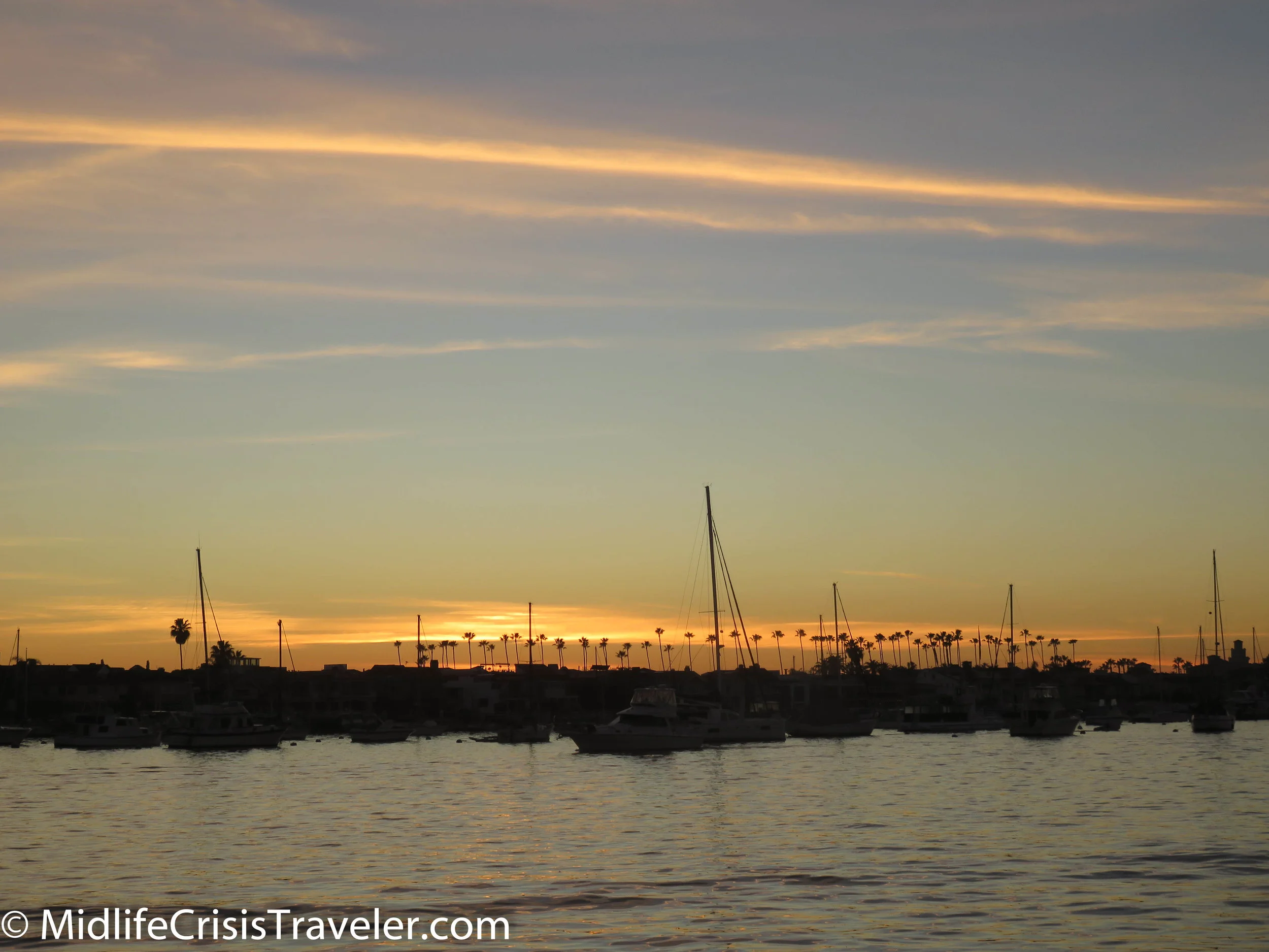 Whale Watching-102.jpg