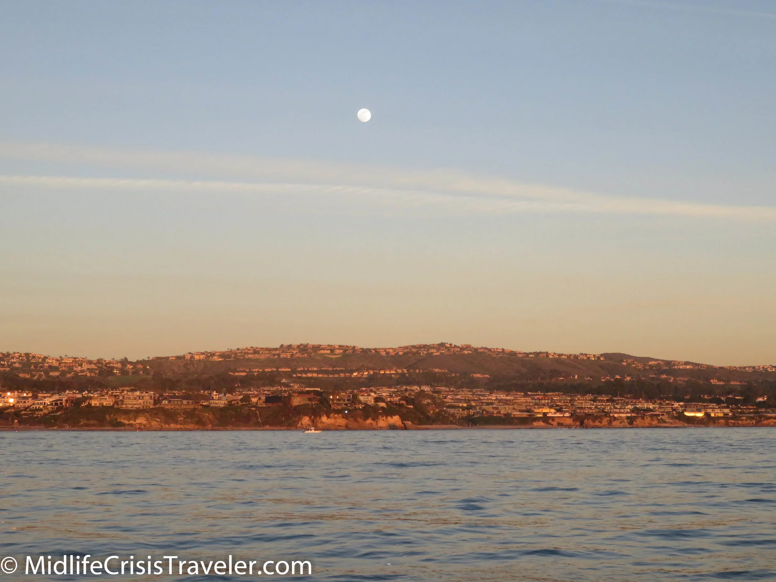 Whale Watching-74.jpg