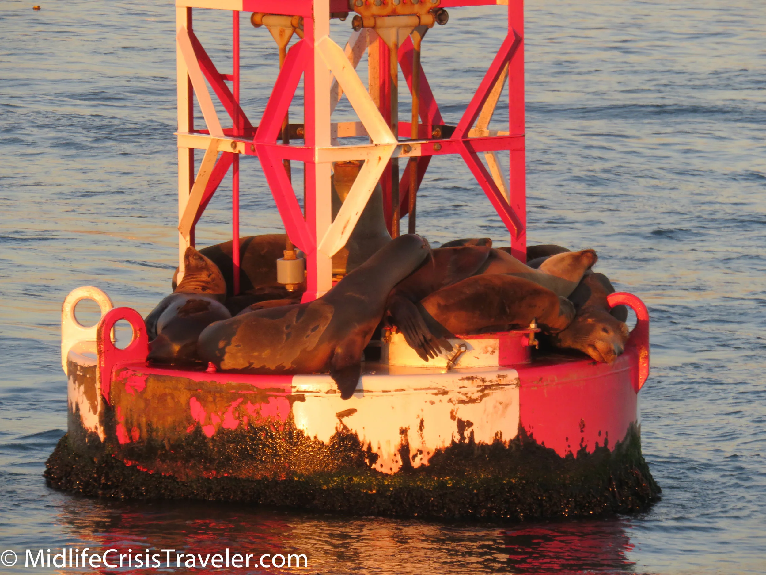 Whale Watching-69.jpg