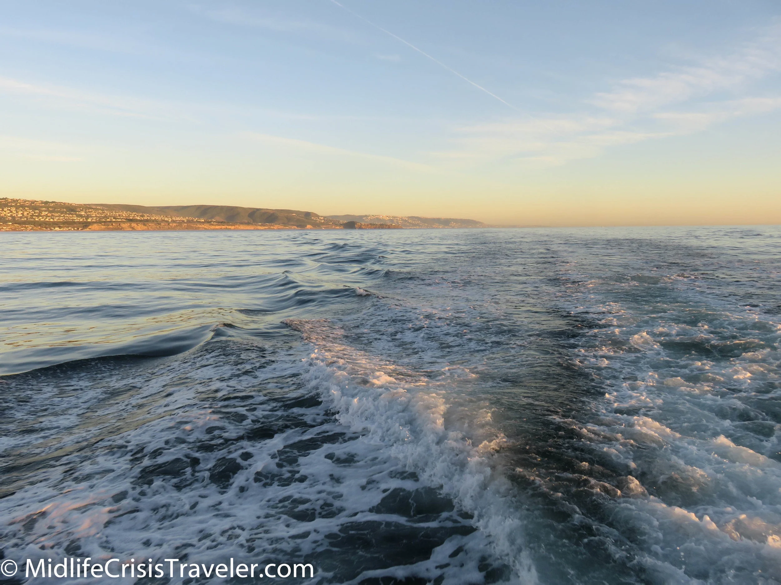 Whale Watching-53.jpg