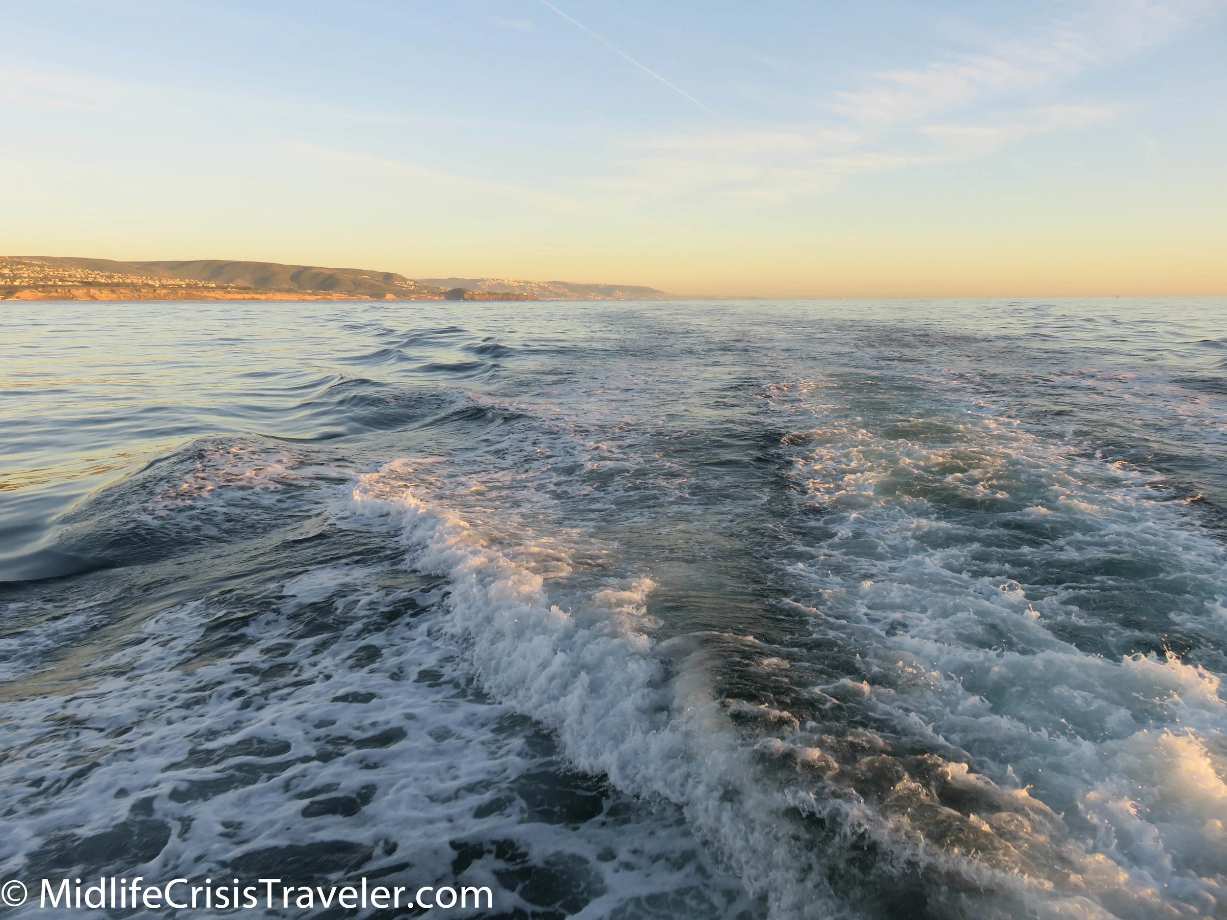 Whale Watching-51.jpg
