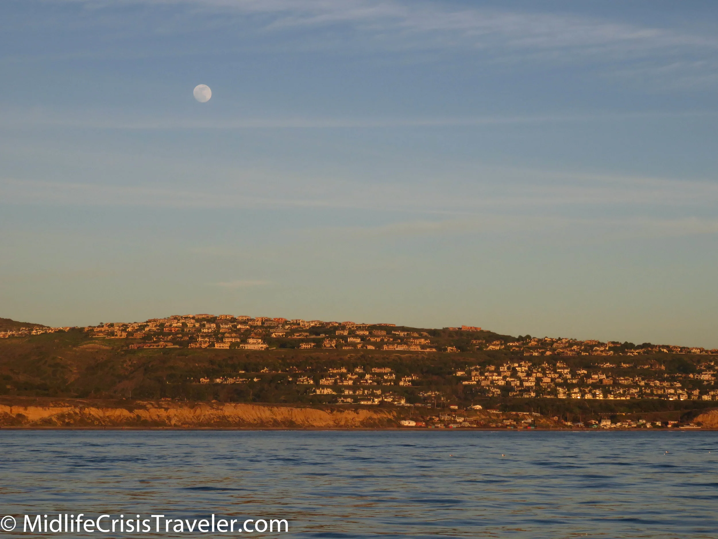 Whale Watching-47.jpg