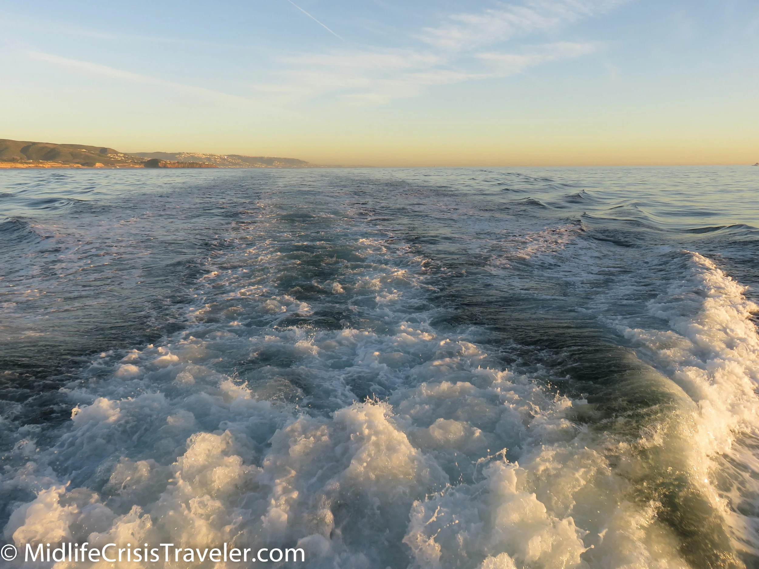 Whale Watching-44.jpg
