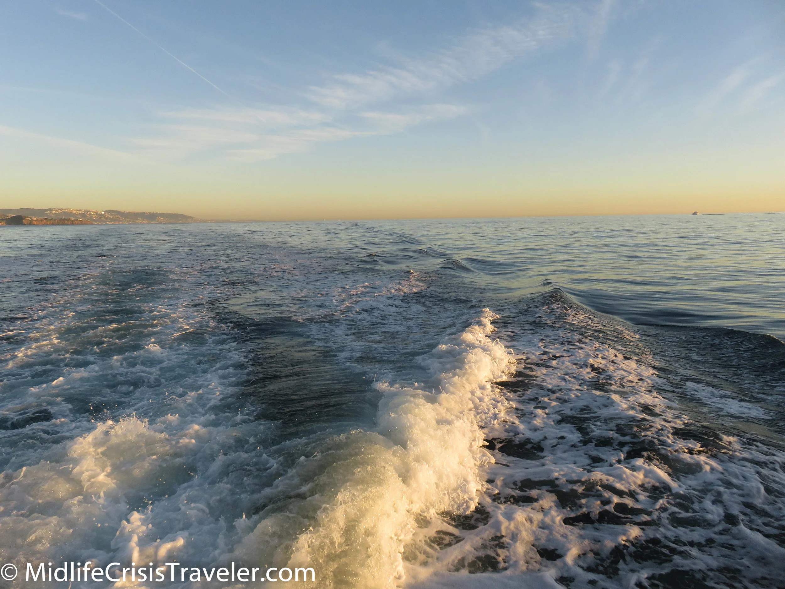Whale Watching-40.jpg