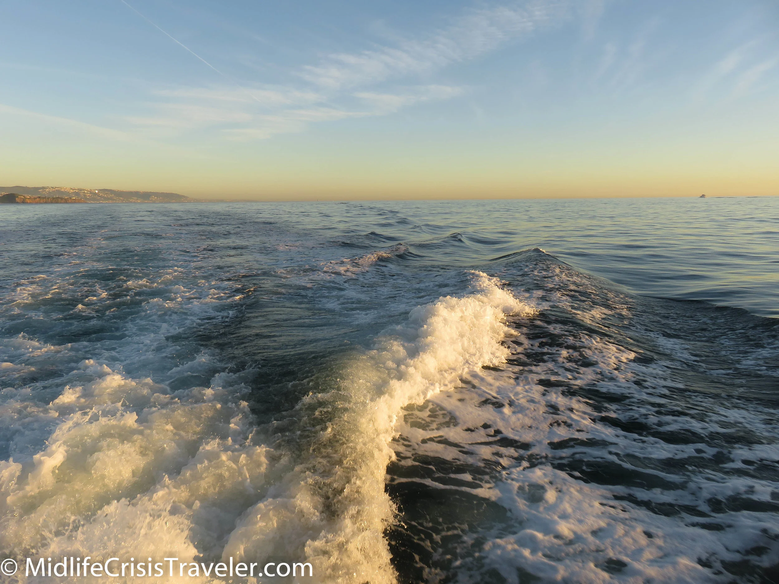 Whale Watching-39.jpg