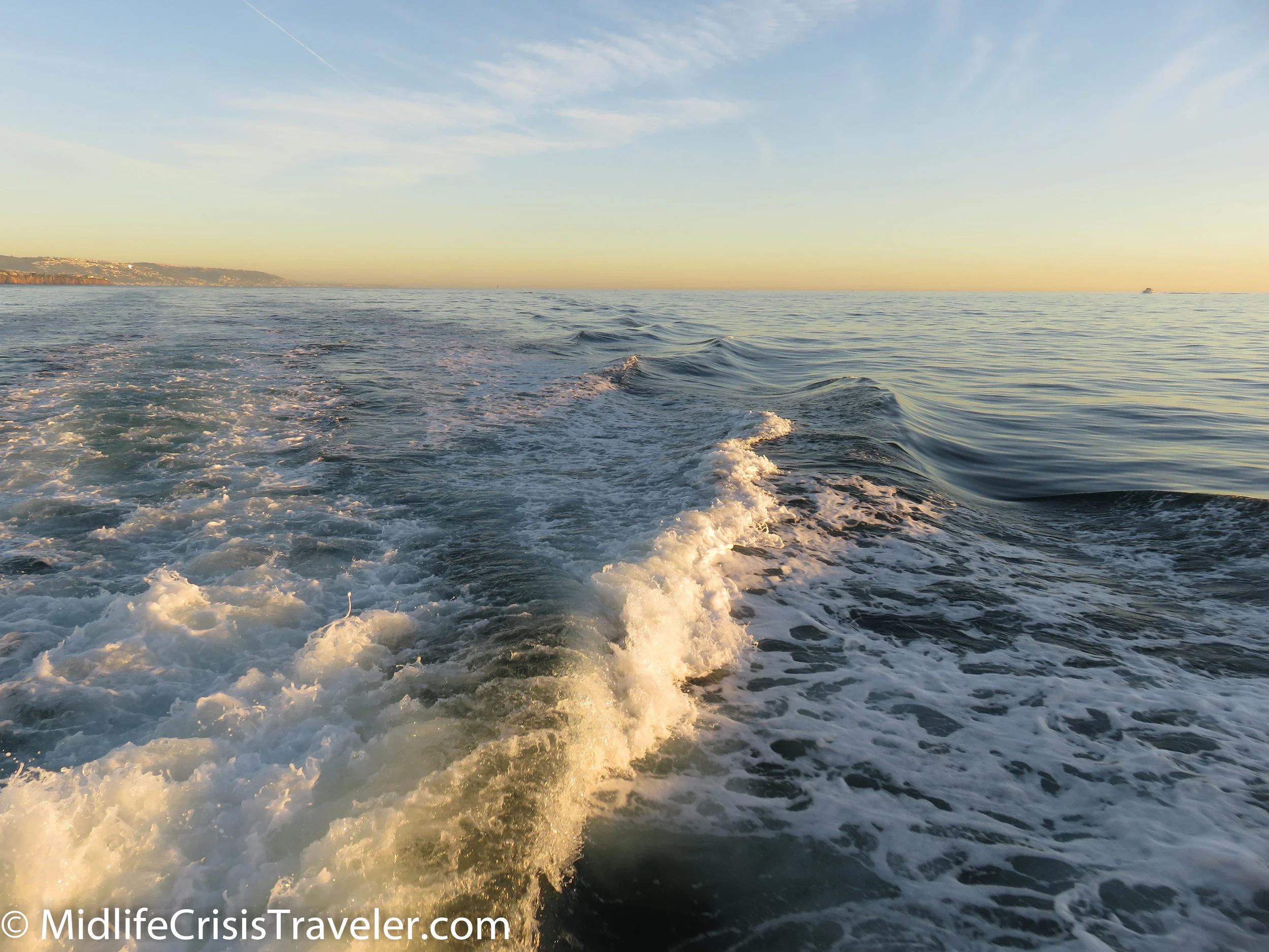 Whale Watching-38.jpg
