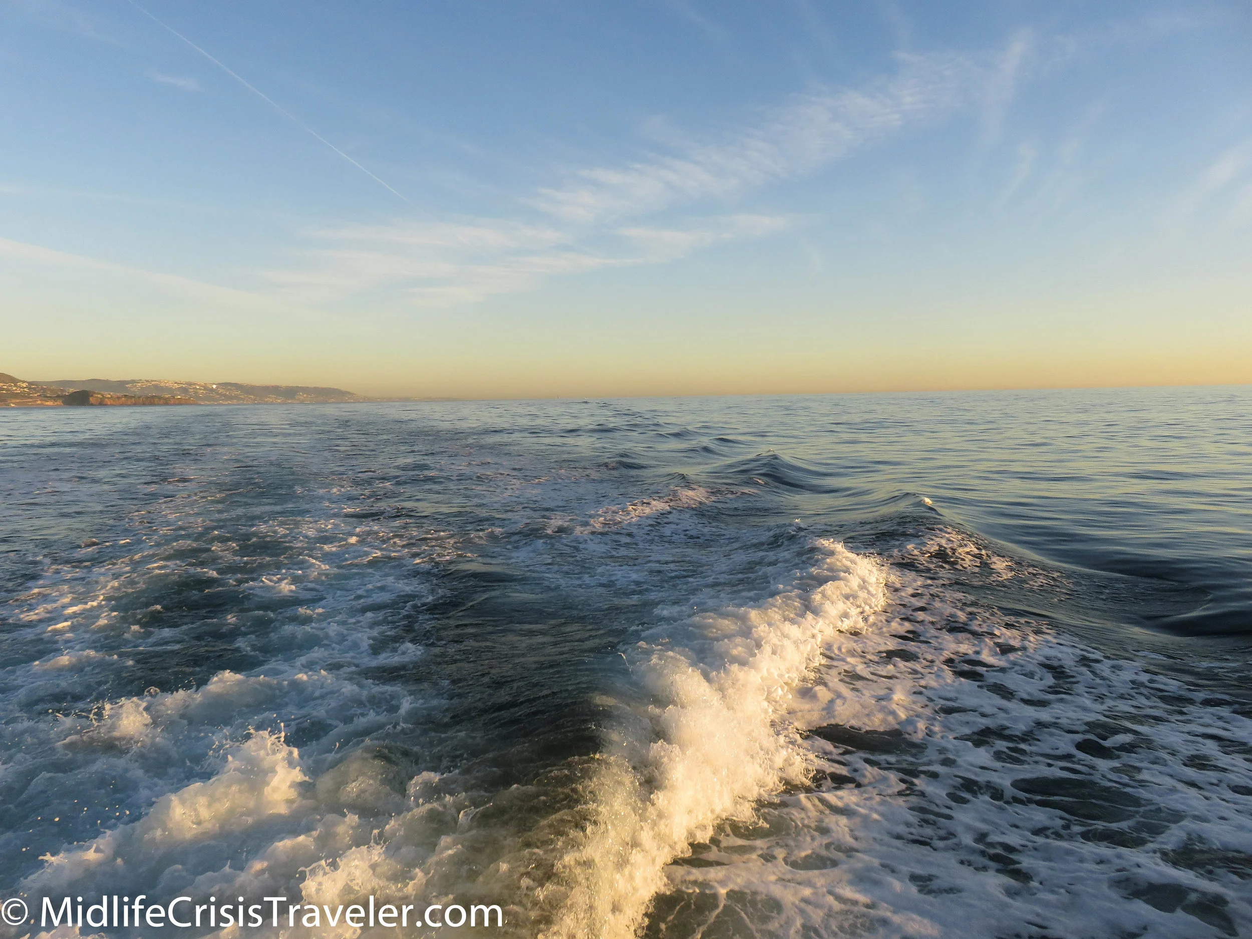 Whale Watching-37.jpg