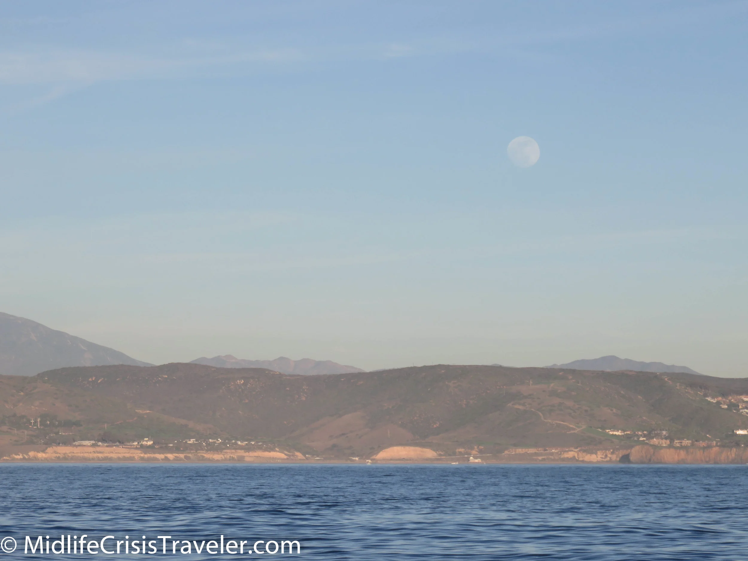 Whale Watching-30.jpg