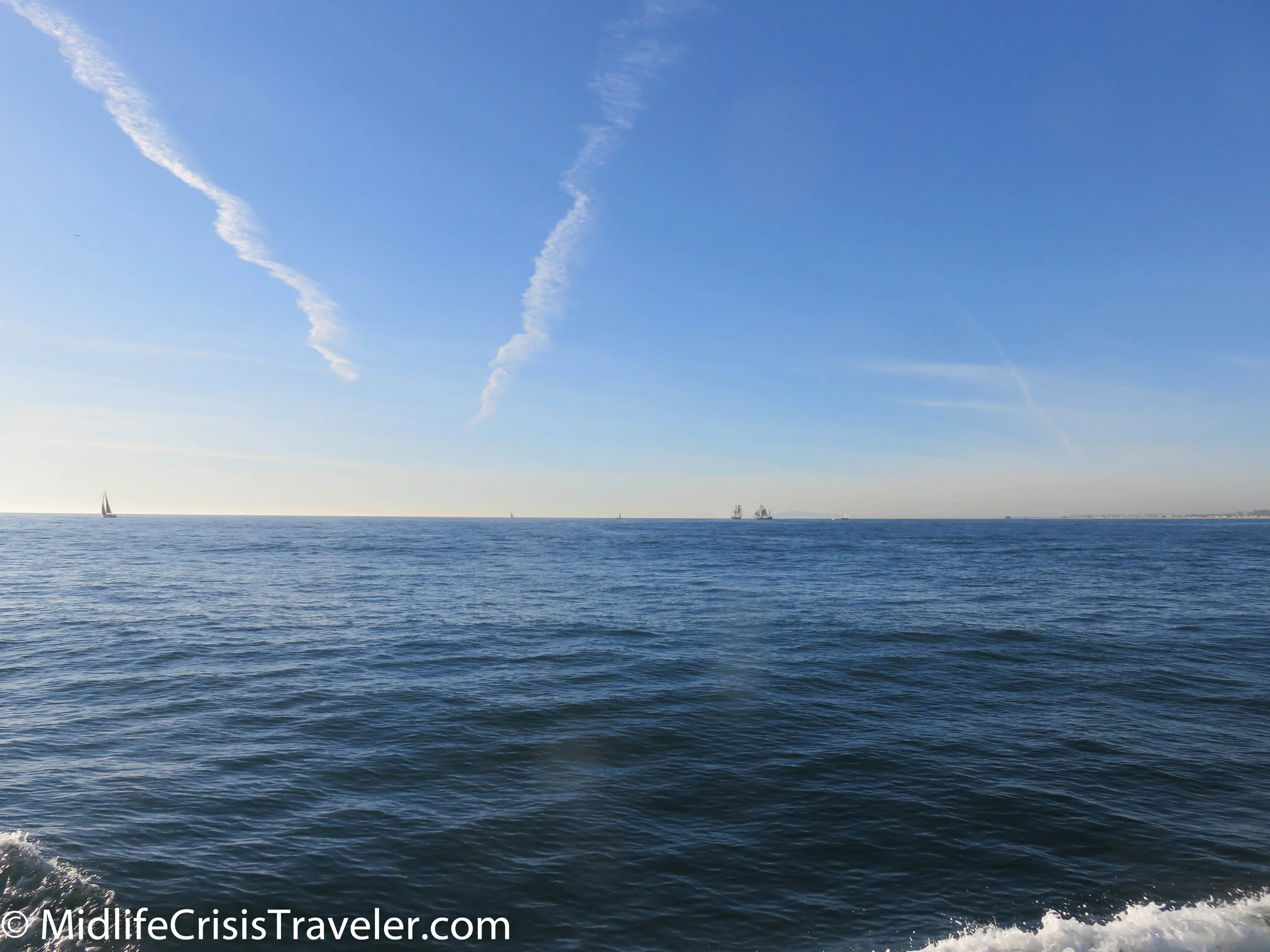 Whale Watching-20.jpg