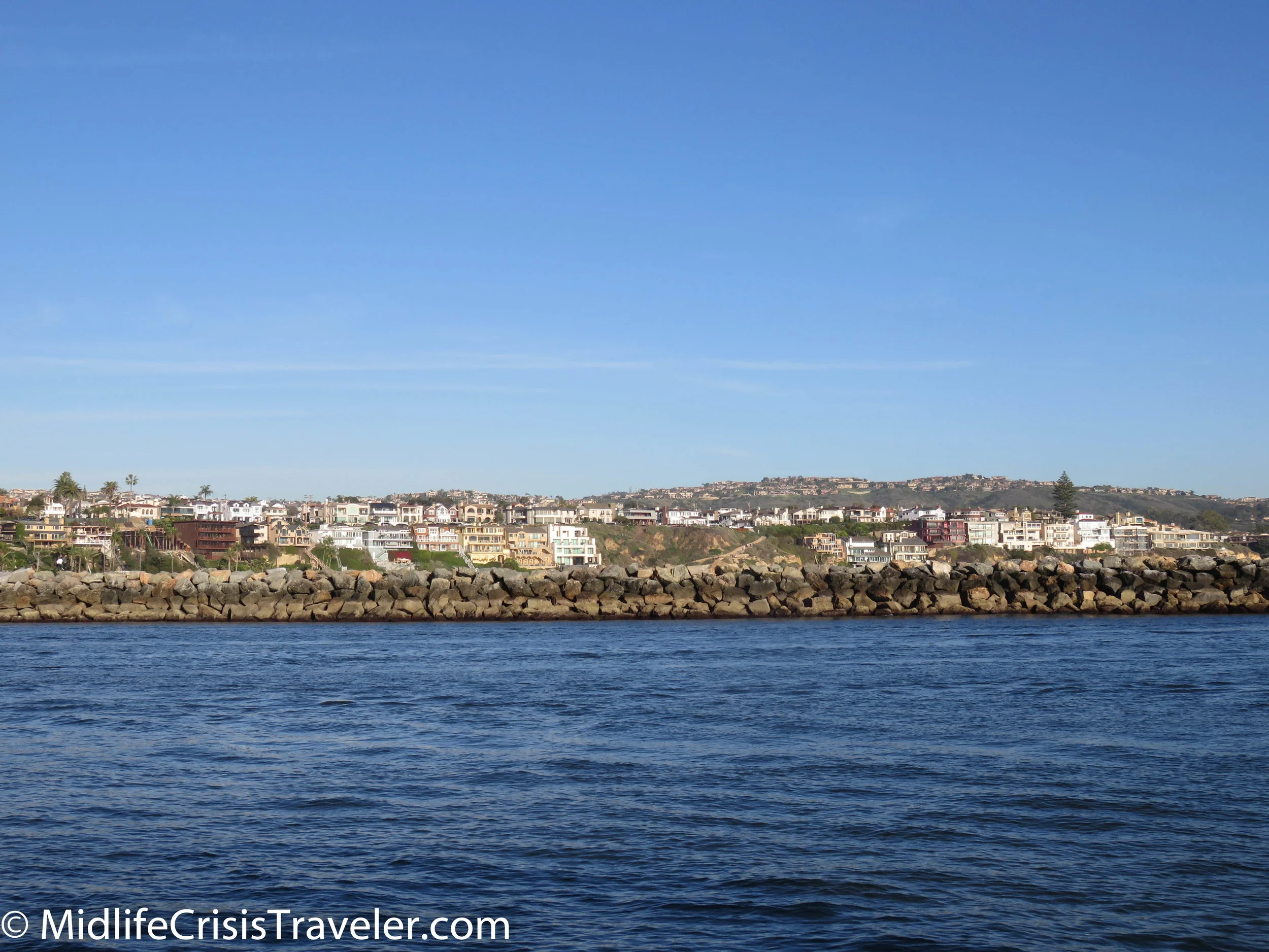 Whale Watching-12.jpg