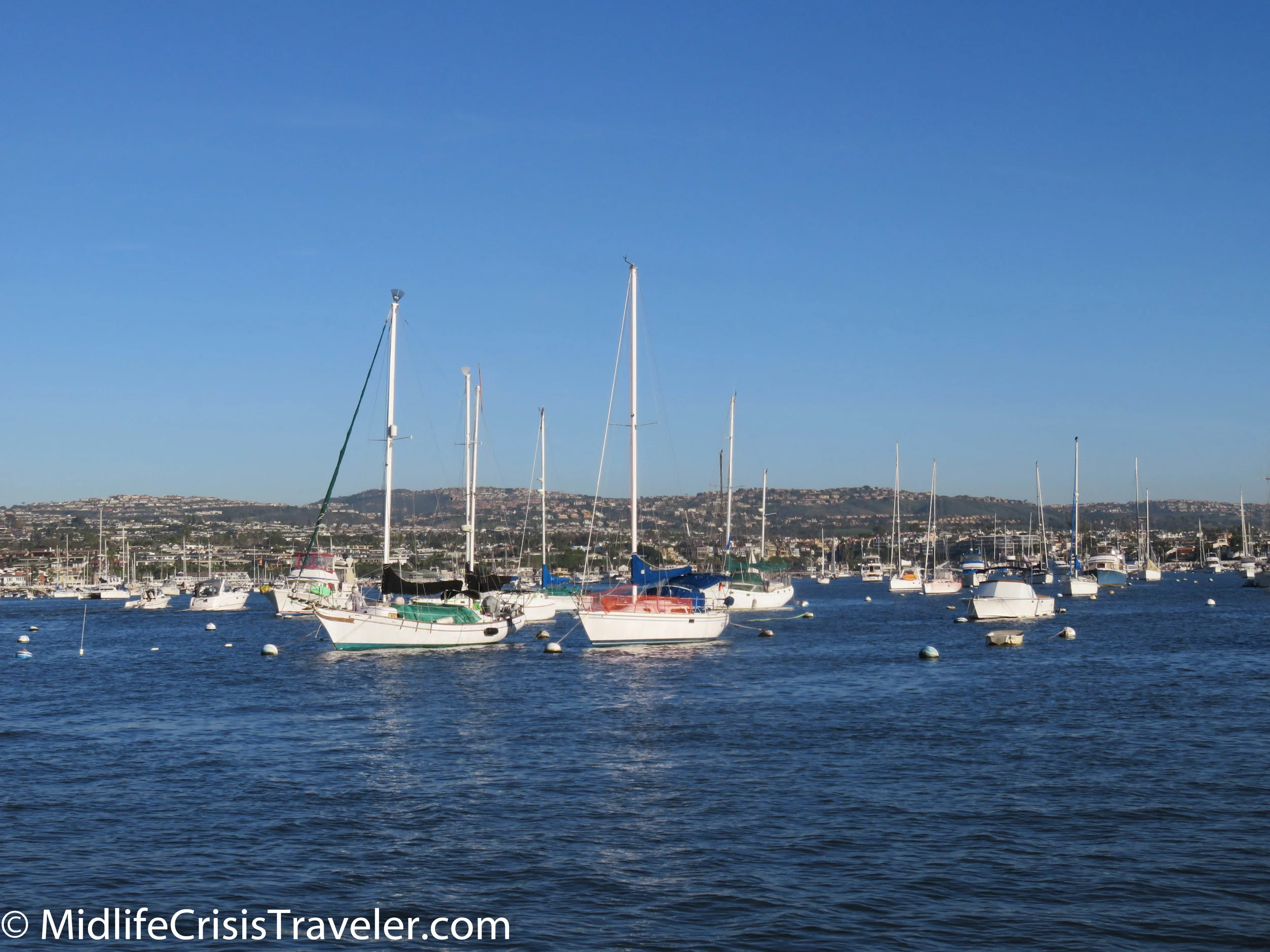 Whale Watching-1.jpg