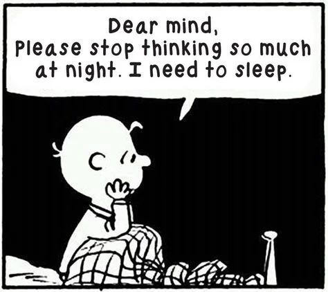 471f84620540e33455492d8b3c5d8993--charlie-brown-peanuts-snoopy-charlie.jpg