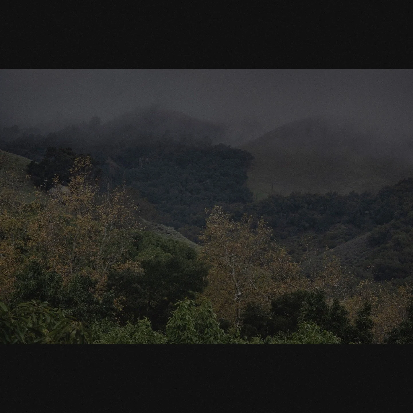 Untitled, Cayucos, 2026