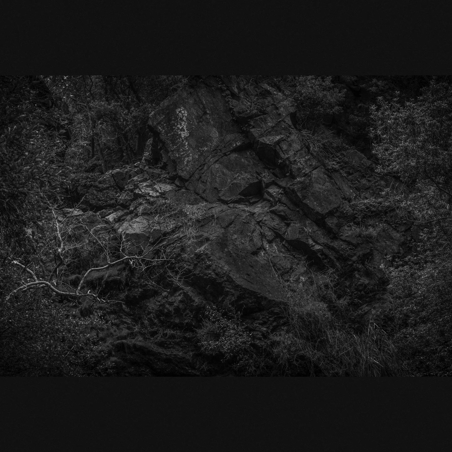 Untitled, Big Sur, 2025