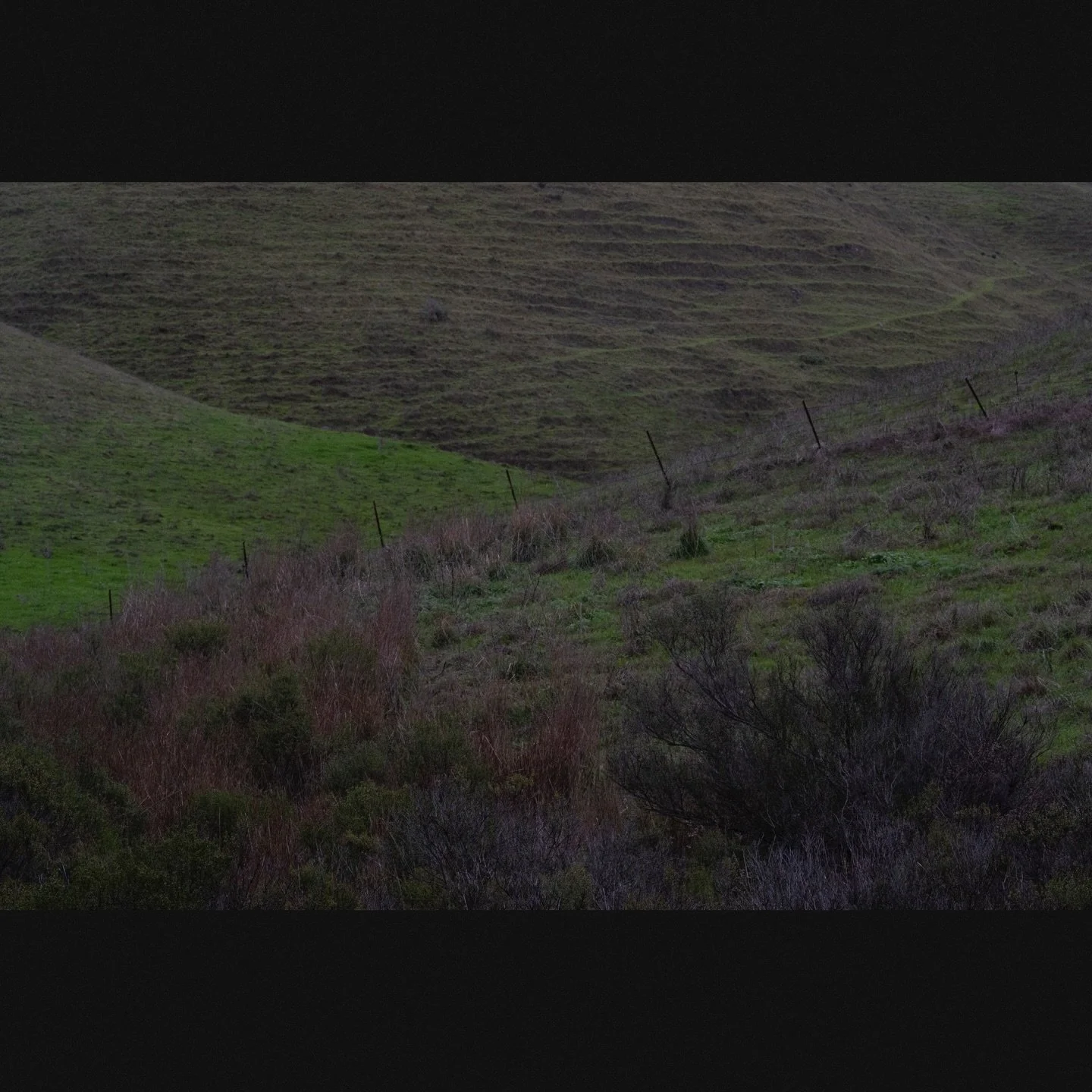 Untitled, Cayucos, 2025