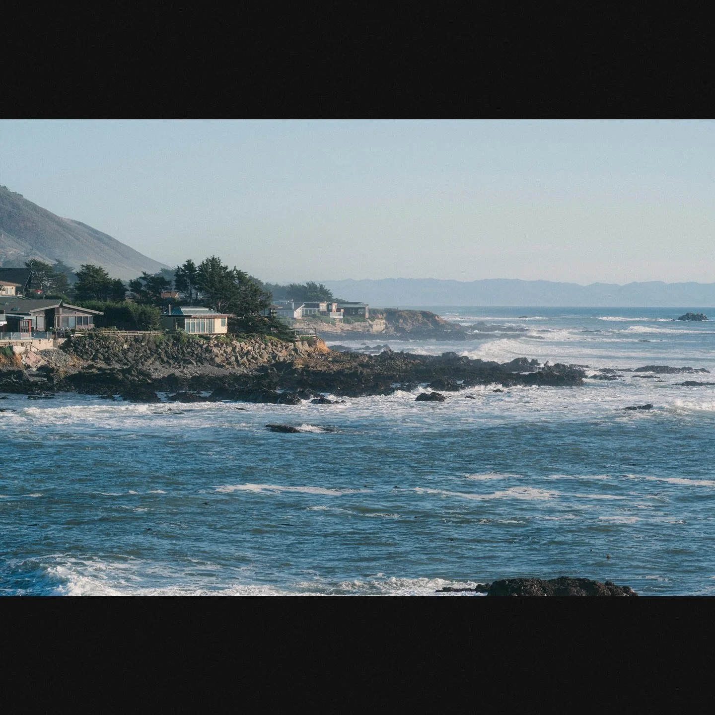 Untitled, Fiscalini Ranch, Cambria, 2025