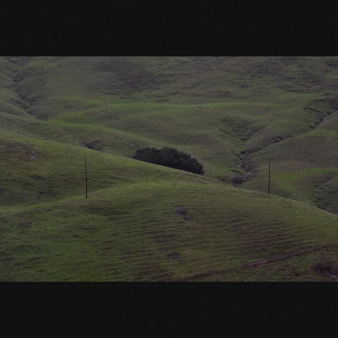 Untitled, Cayucos, 2025