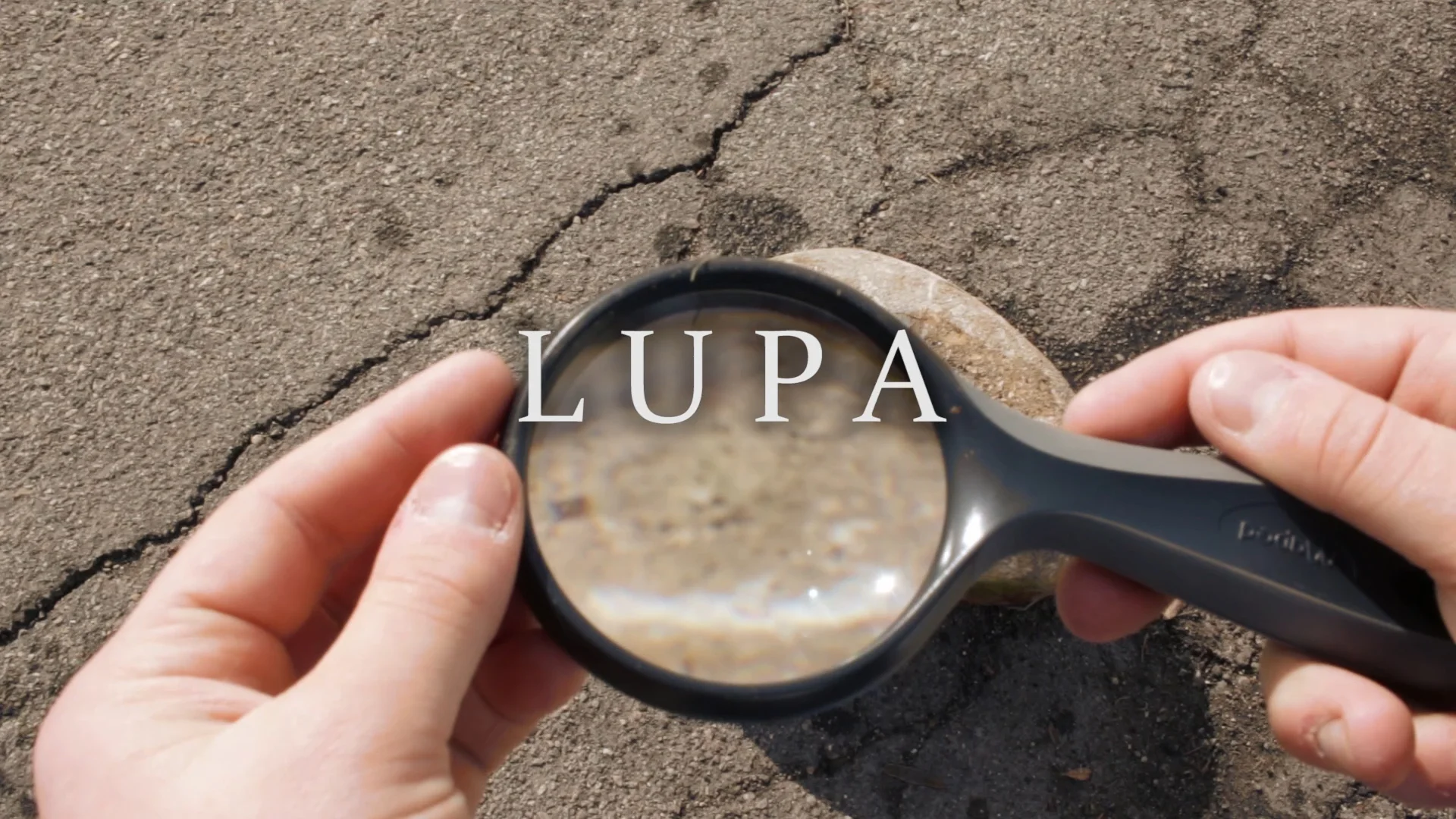 Lupa