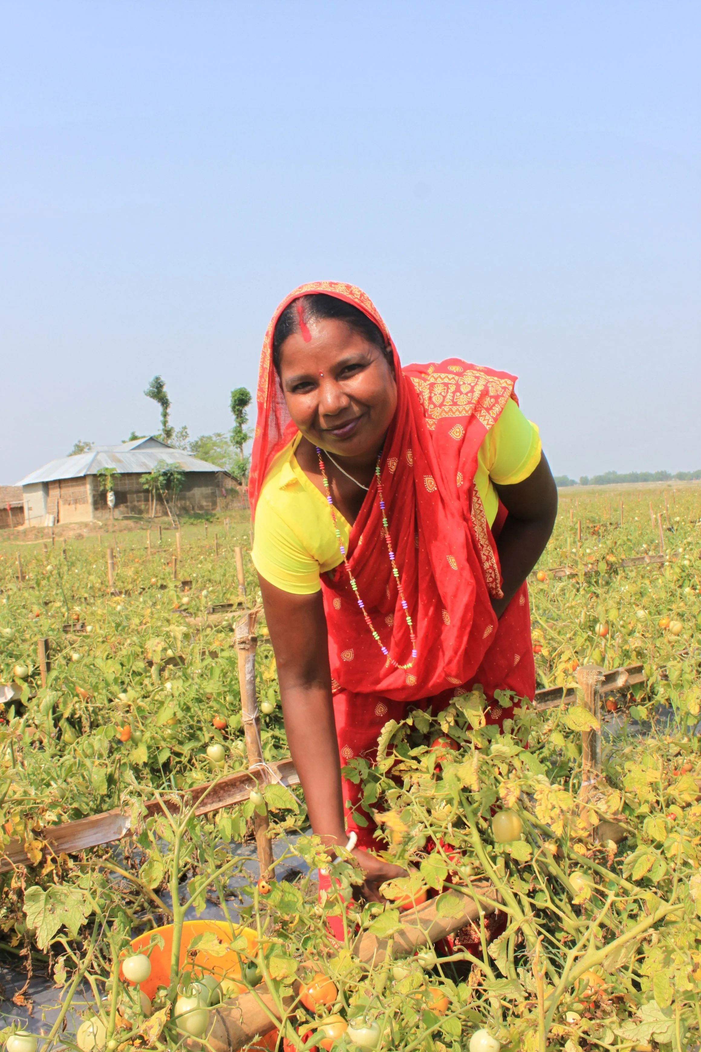 Small Business Rehabilitation Nepal
