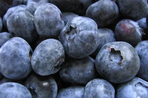Bunch_of_blueberries.jpg