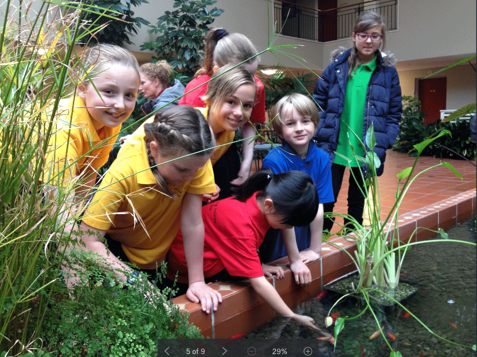 WYV-kids-at-pond.gif