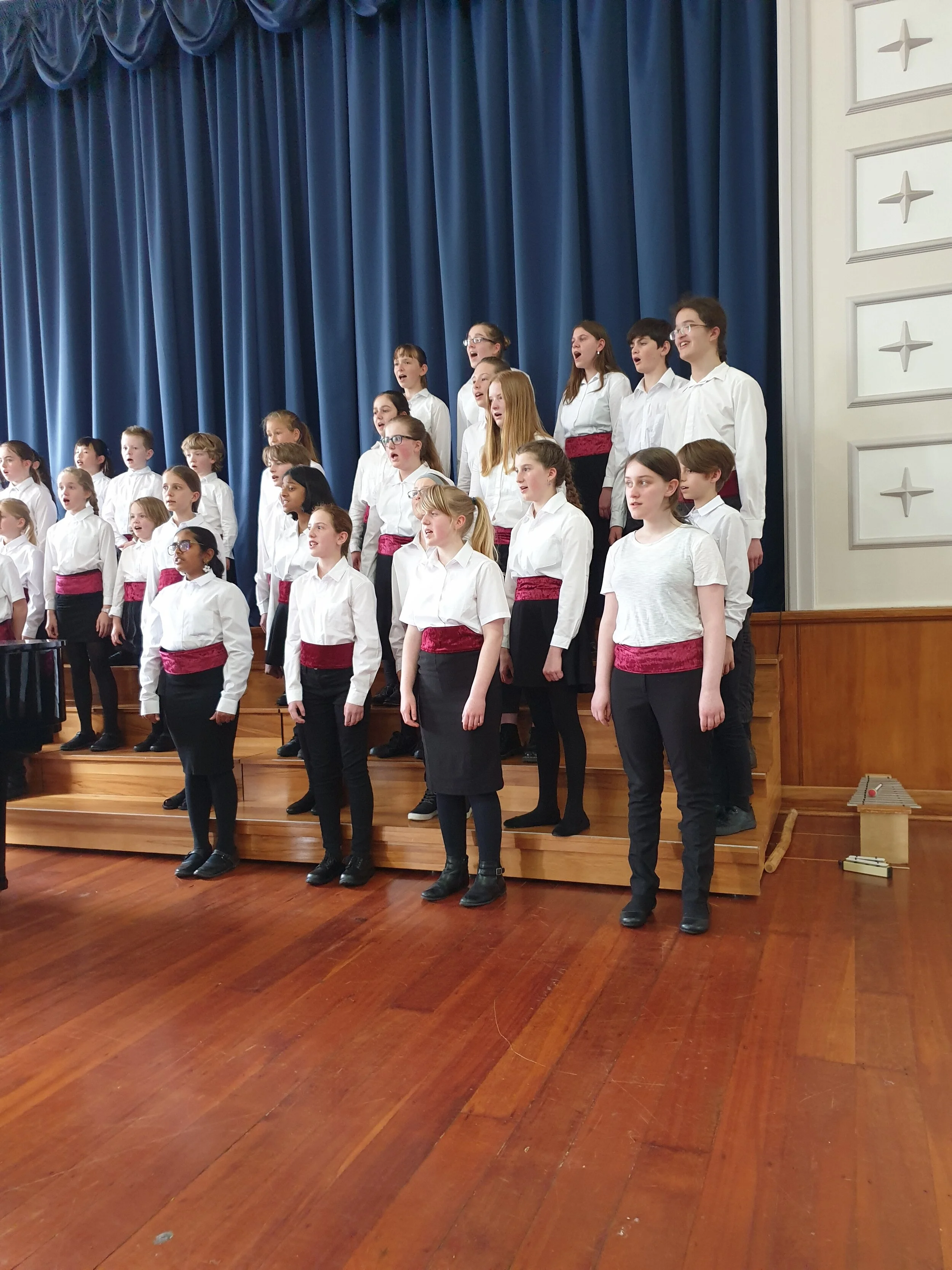 Sing for the World Concert - WYV Choir