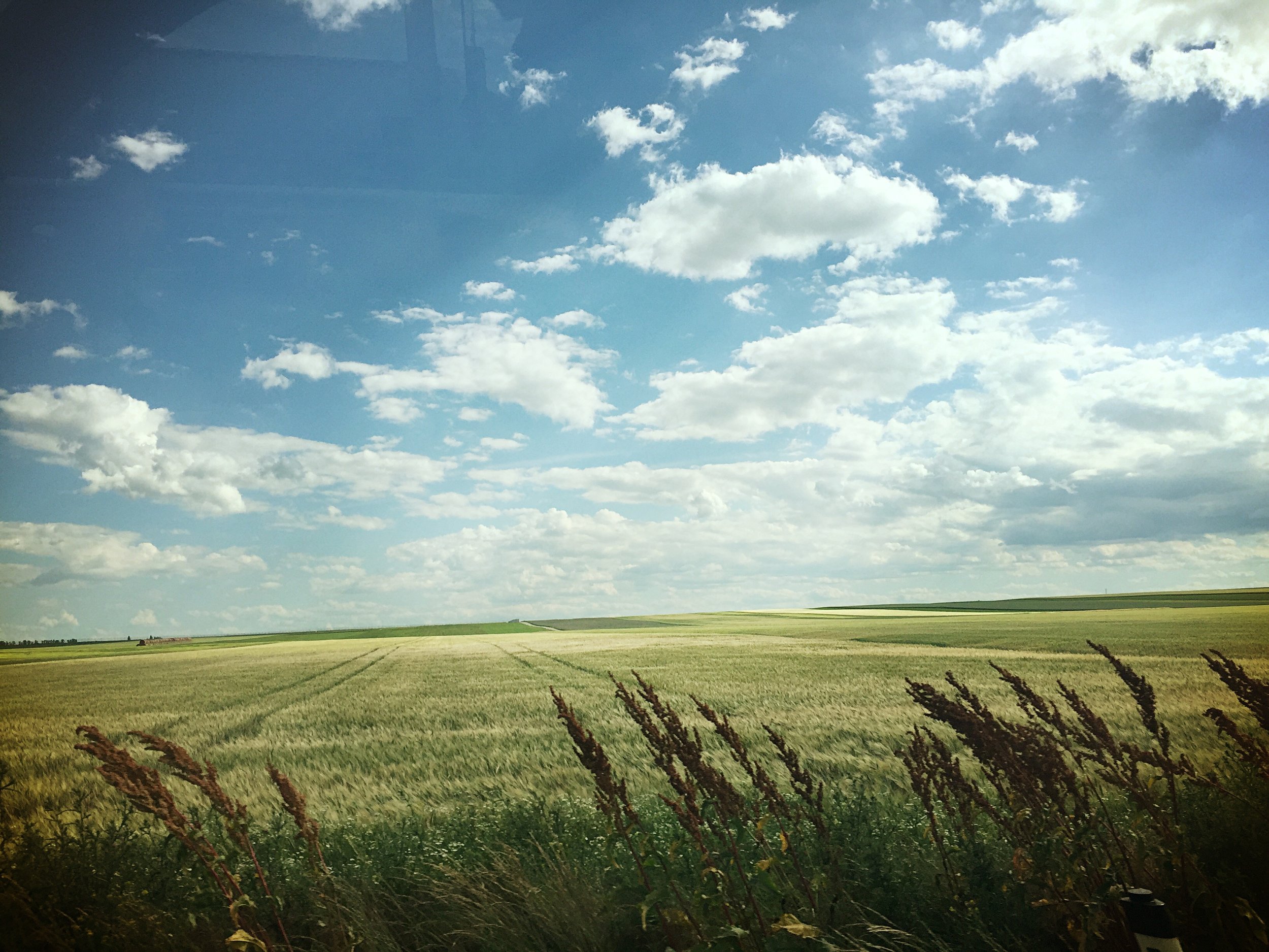 Austrian Flatlands