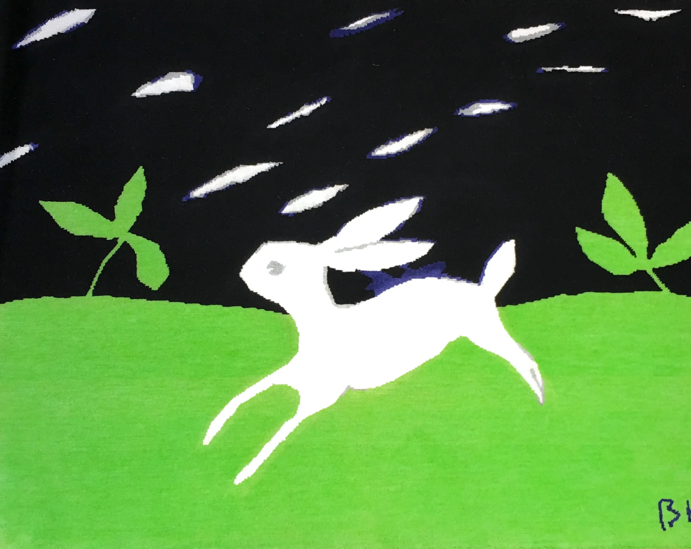 Bunny