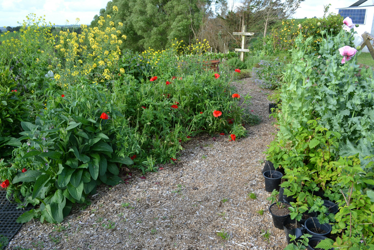 Jo-anne Mowatt for www.jpg