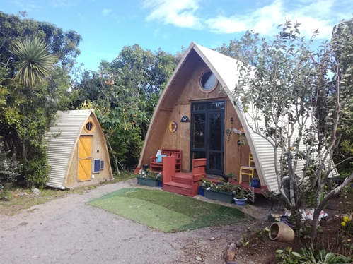 Clair Ferguson - web.jpg