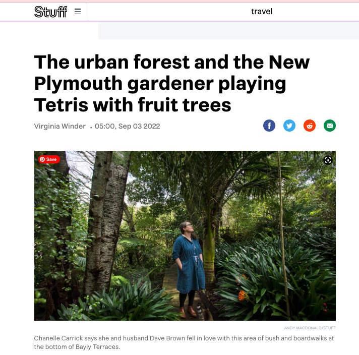 Urban Forest 