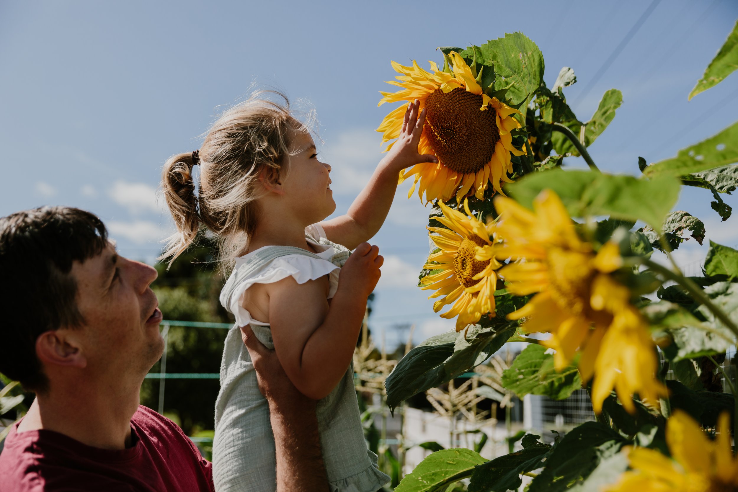 Mara Kai Veg Garden 2 - Kate Parker.jpg